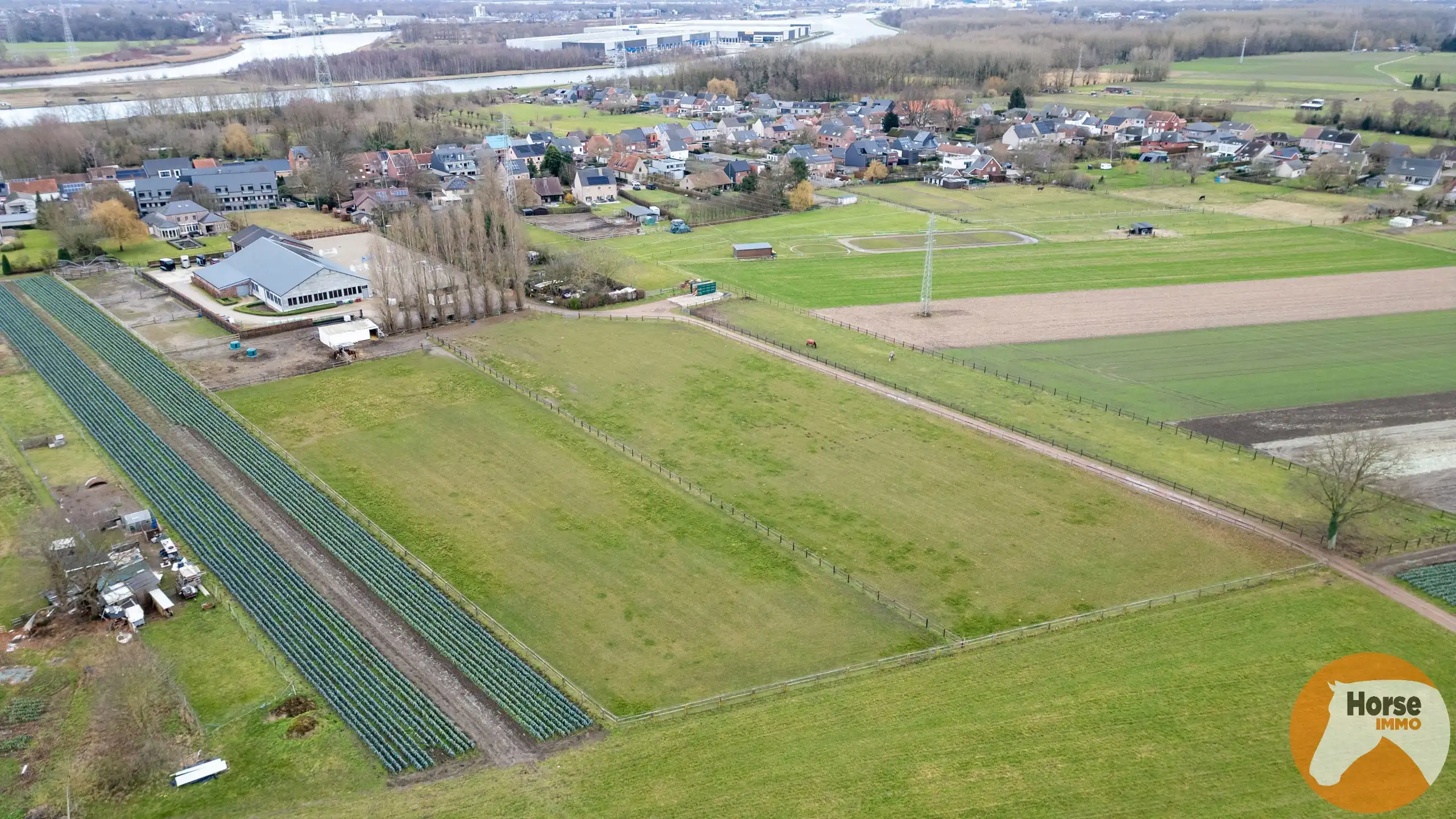 BORNEM – Professionele paardenaccommodatie met villa op 3HA foto 8