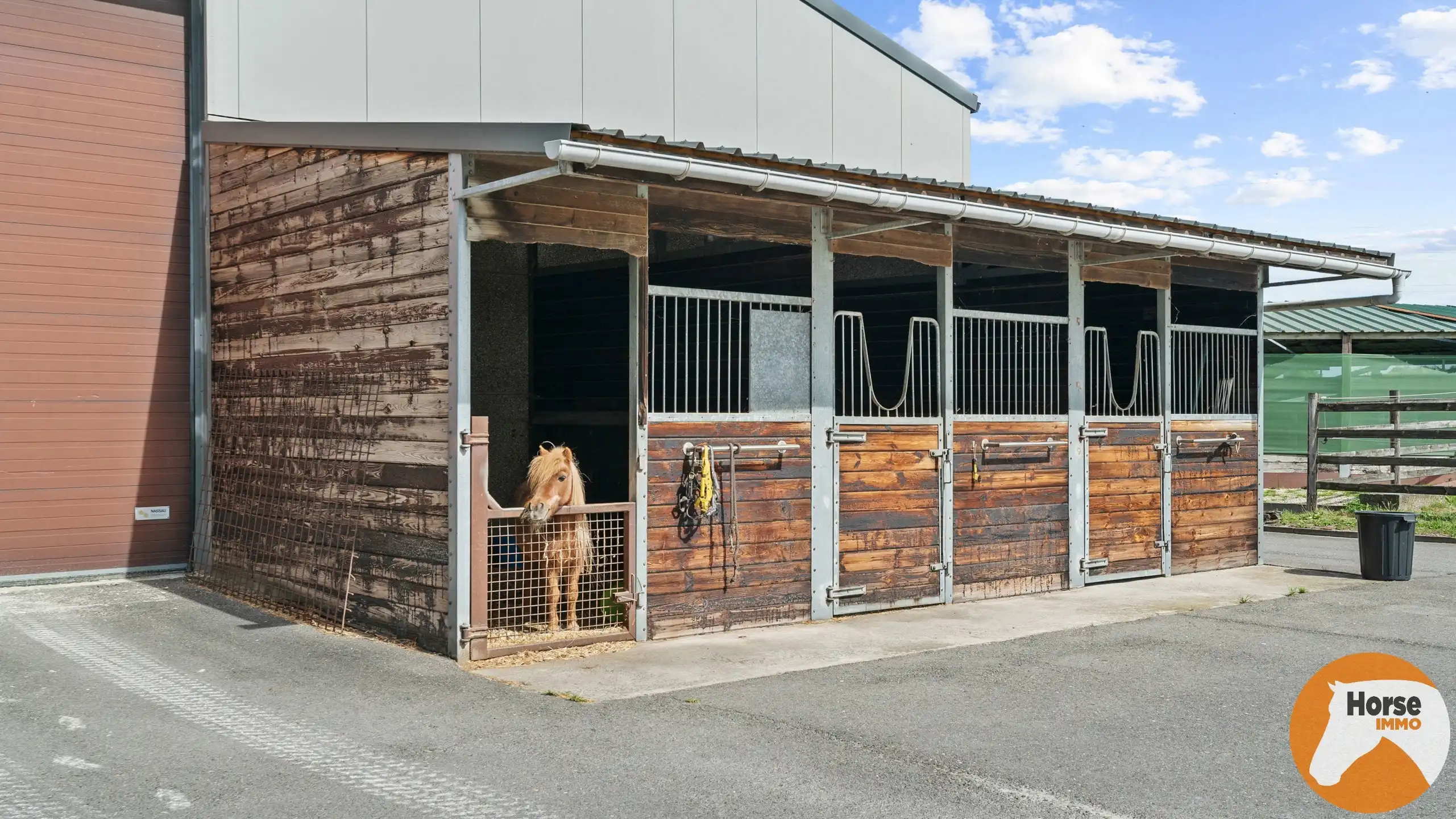 MECHELEN - Exclusieve hippische accommodatie op +/- 4,4ha  foto 49