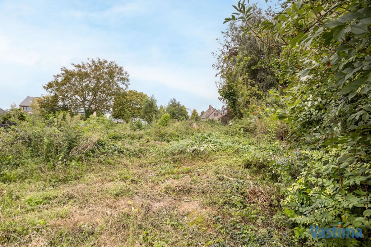 Bouwklare grond voor open bebouwing nabij centrum Asse foto 8