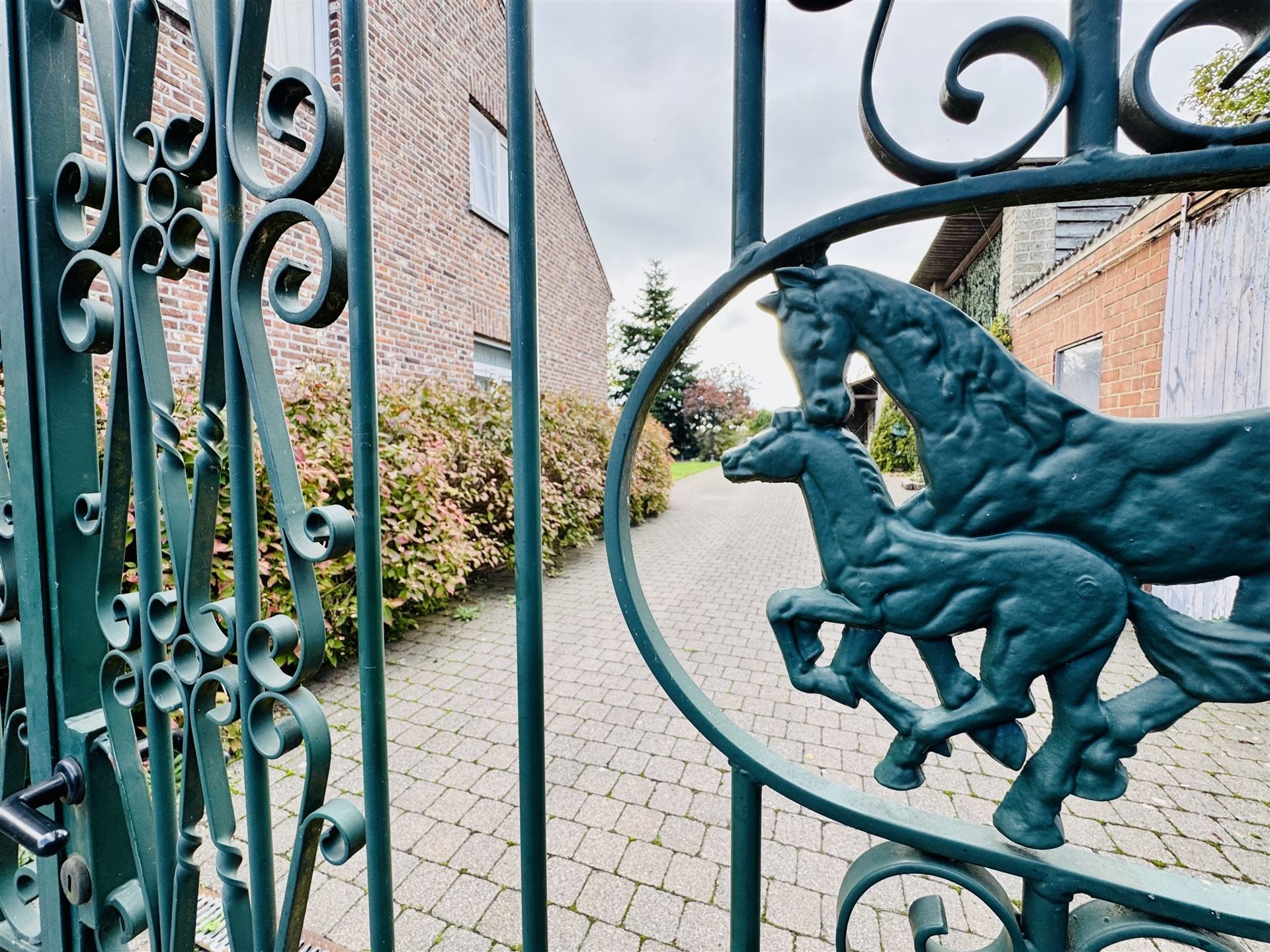 Hoeve met paardenaccomodatie. foto 44