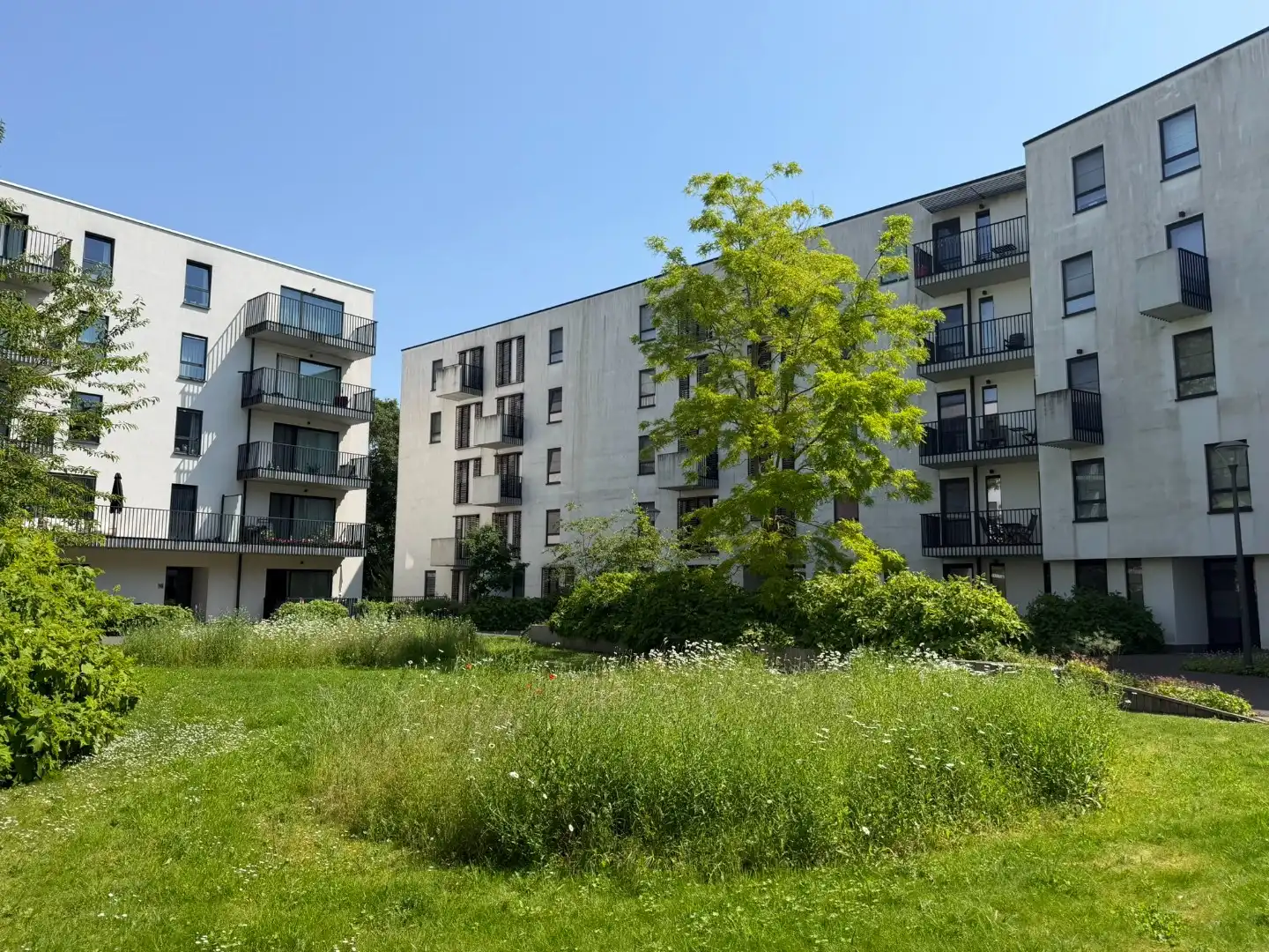 Energiezuinig appartement met 1 slaapkamer en terras + parkeerplaats foto 12