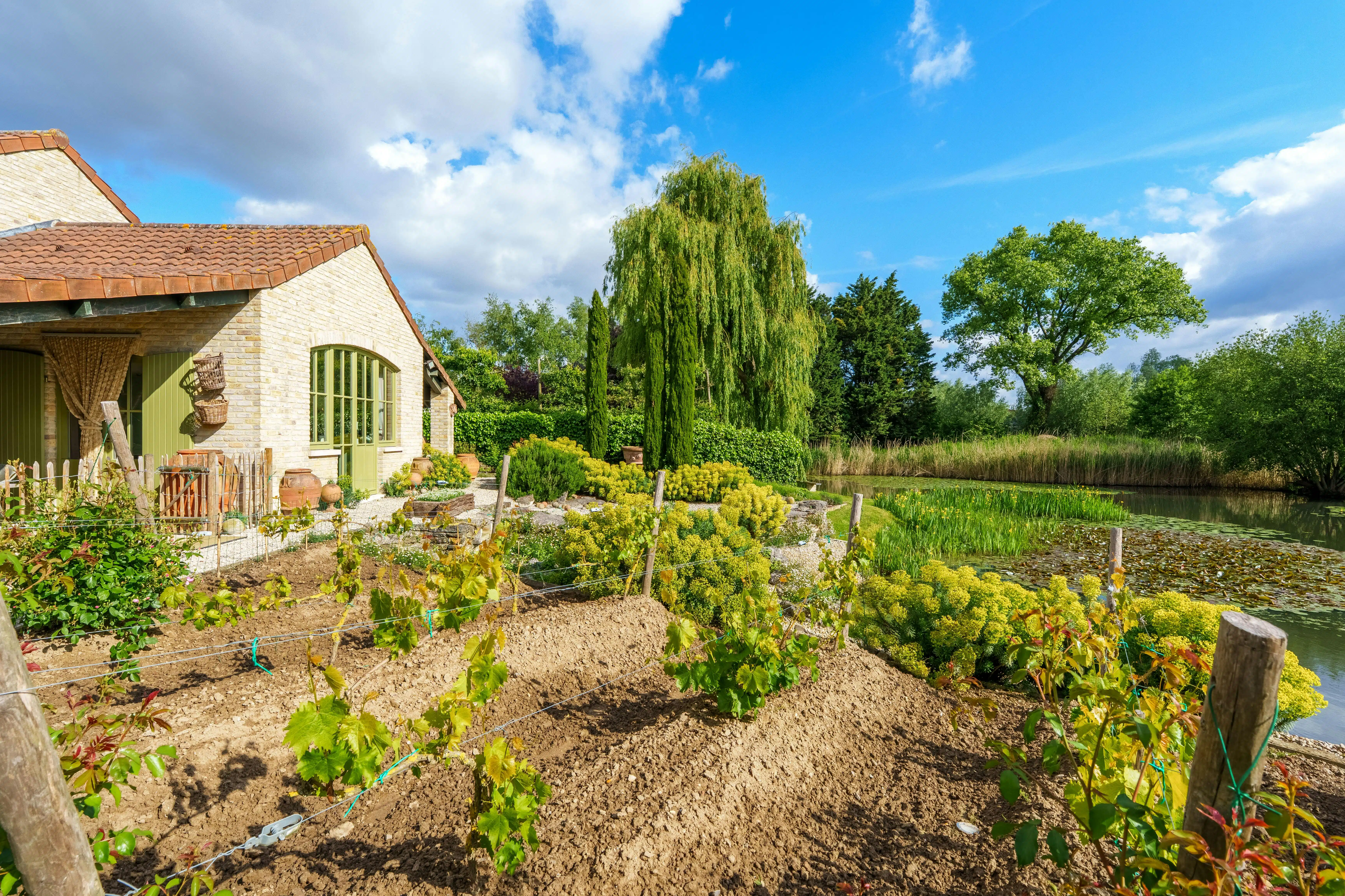 Alleenstaand huis te Meulebeke met prachtige tuin en vijver! foto 19