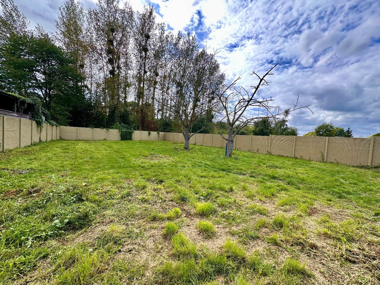 Rustig gelegen gezinswoning met 5 slaapkamers en ruime tuin te Tongeren foto 25