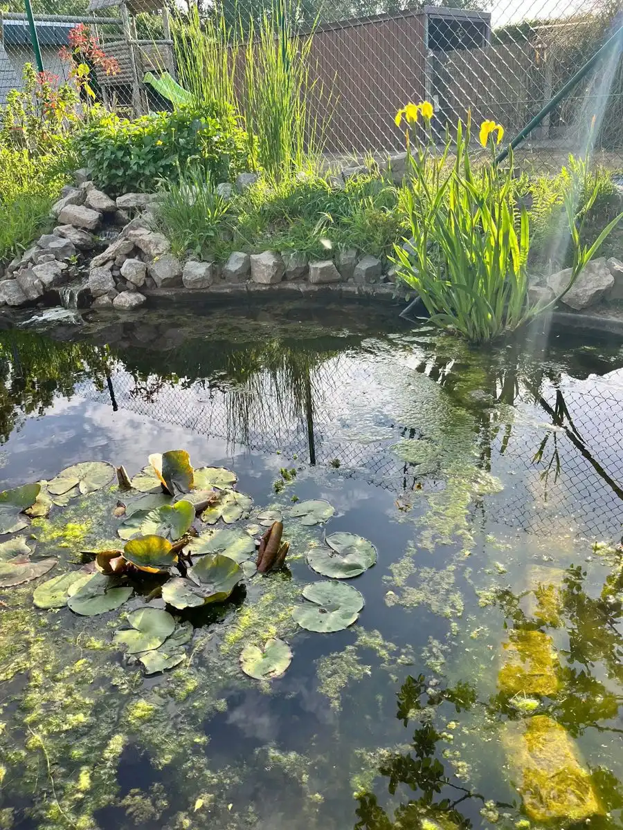 Unieke HOB met 3 slaapkamers op 4a 63ca! foto 19