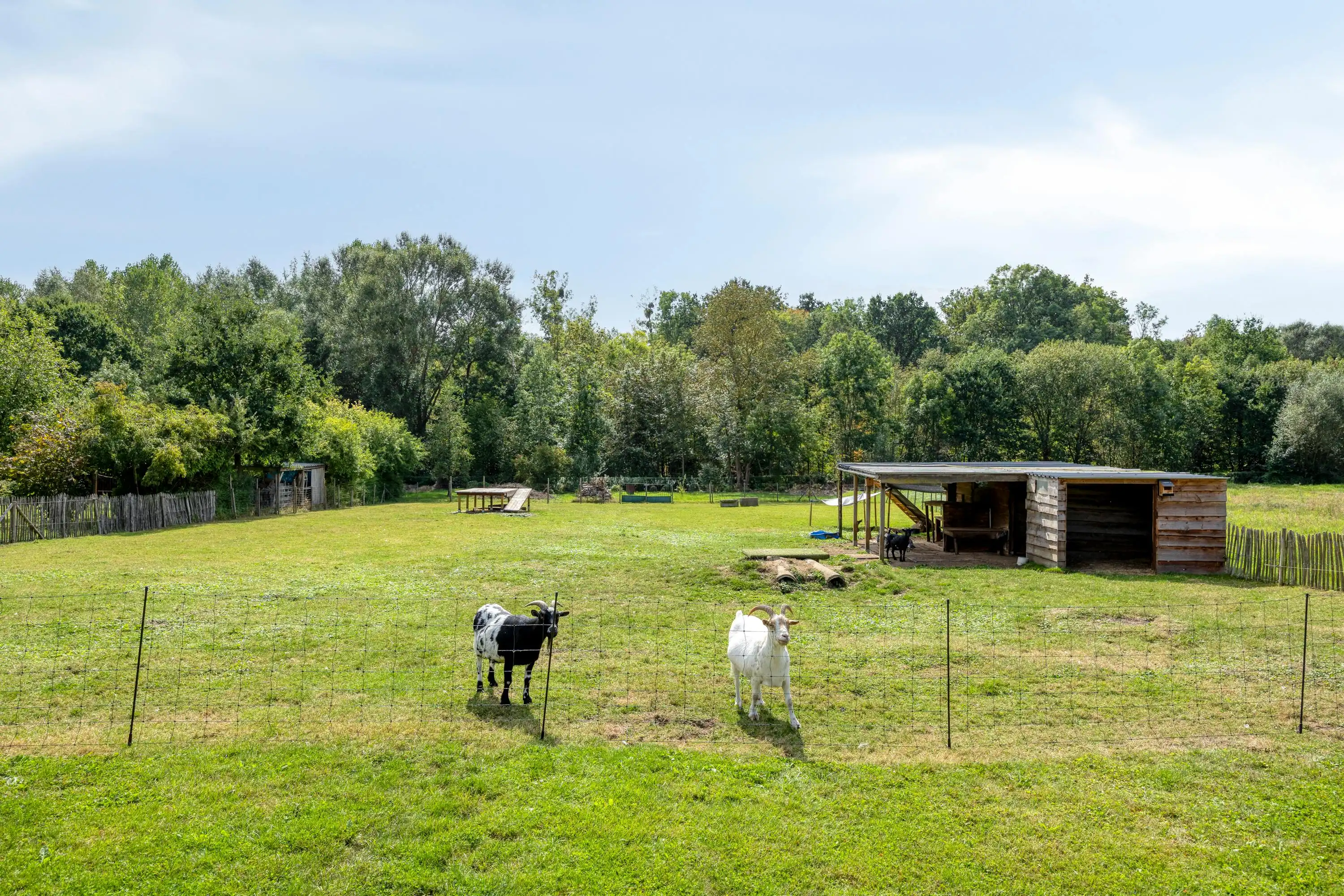 Gerenoveerde open bebouwing met zwembad op 28a23 te Halen foto 26