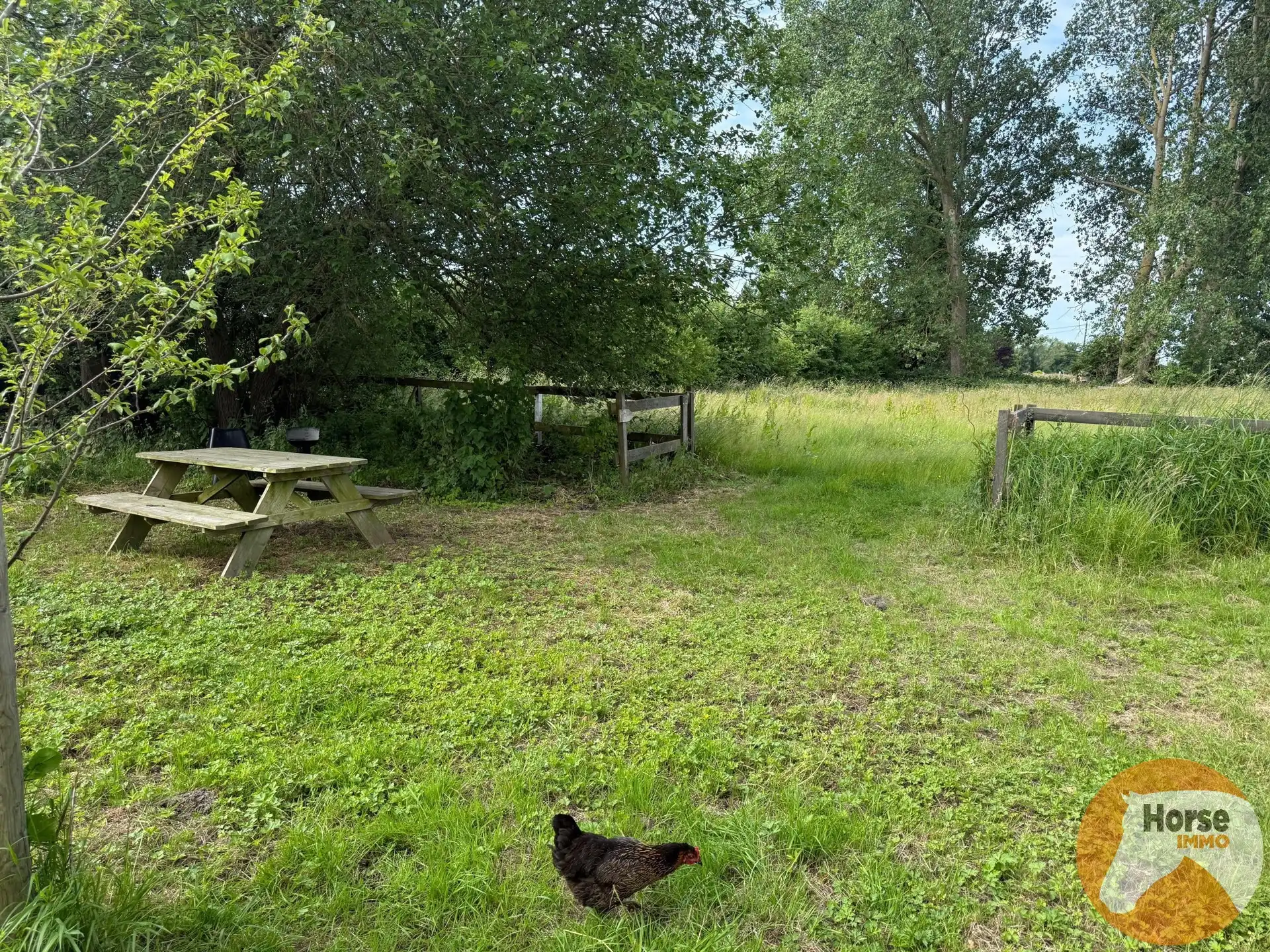 HUMBEEK - Droomplek voor paarden met weide, stallen en piste foto 3
