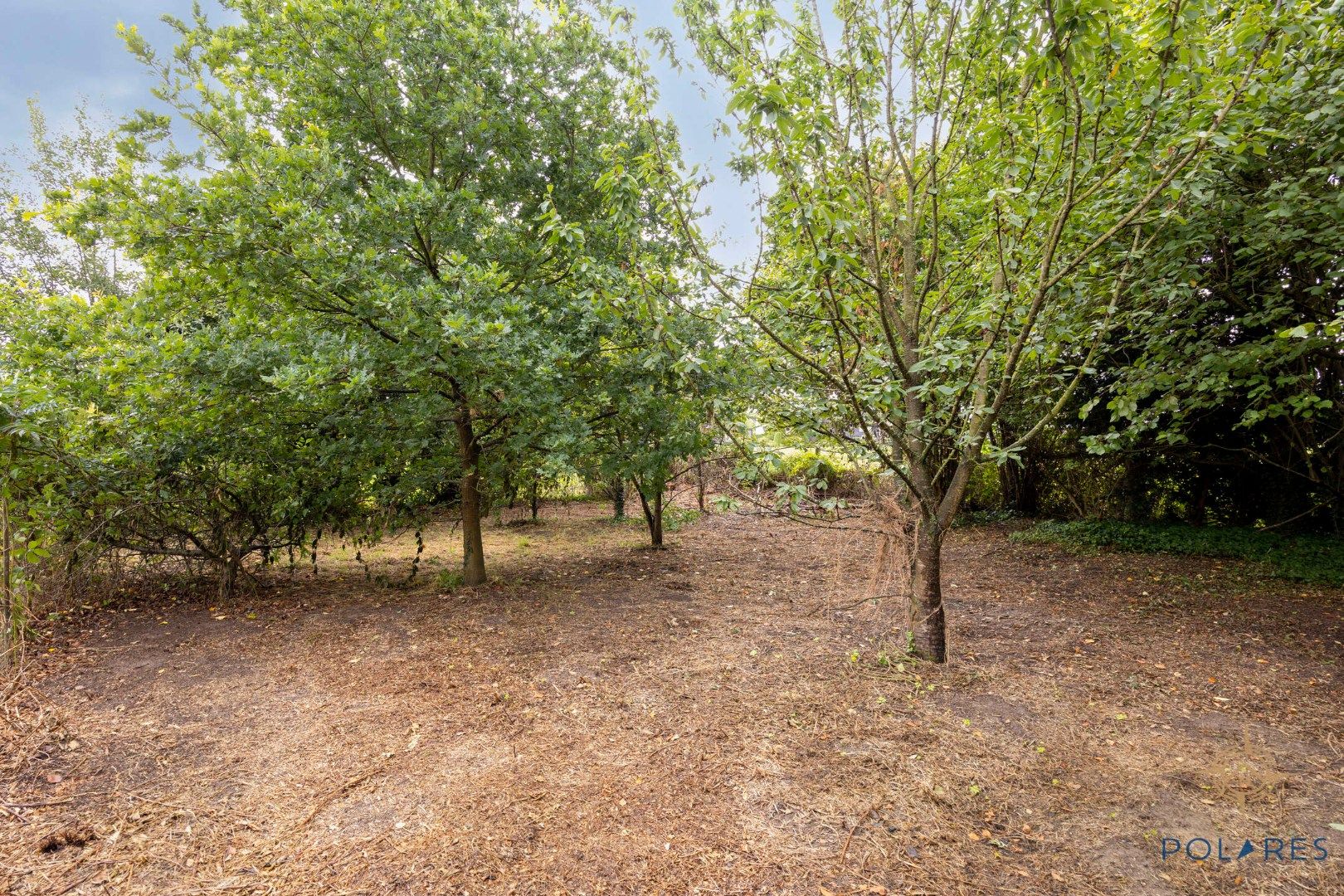 Zuidgerichte open bebouwing op groot perceel foto 20