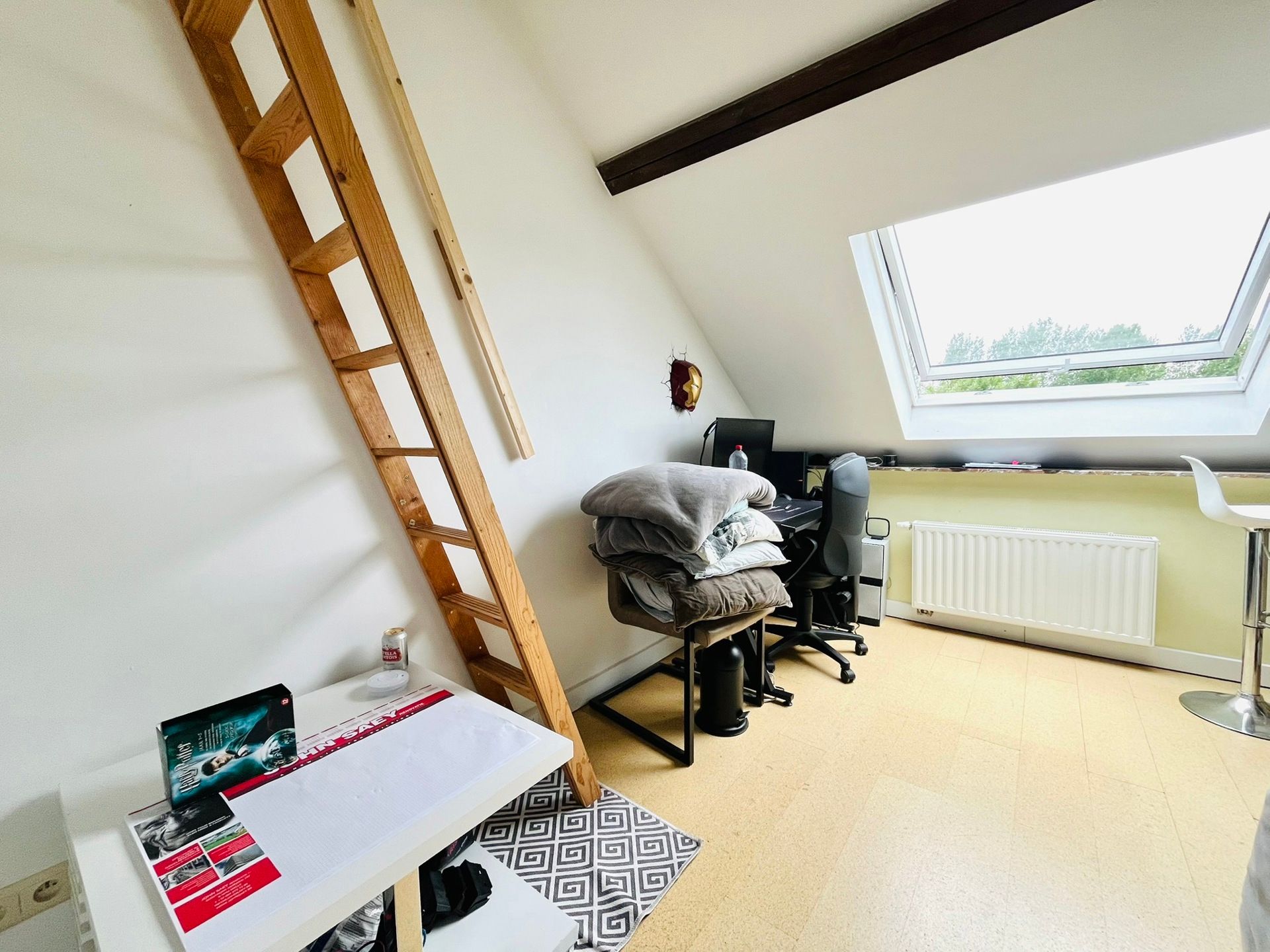 KNUSSE WONING IN HET LANDELIJKE SINT-MARTENS- BODEGEM. foto 10