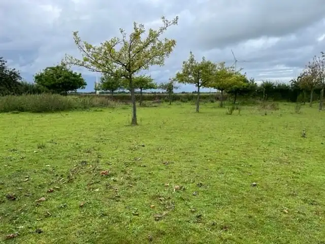 Bouwland/Boomgaard Laag/Bos foto 17