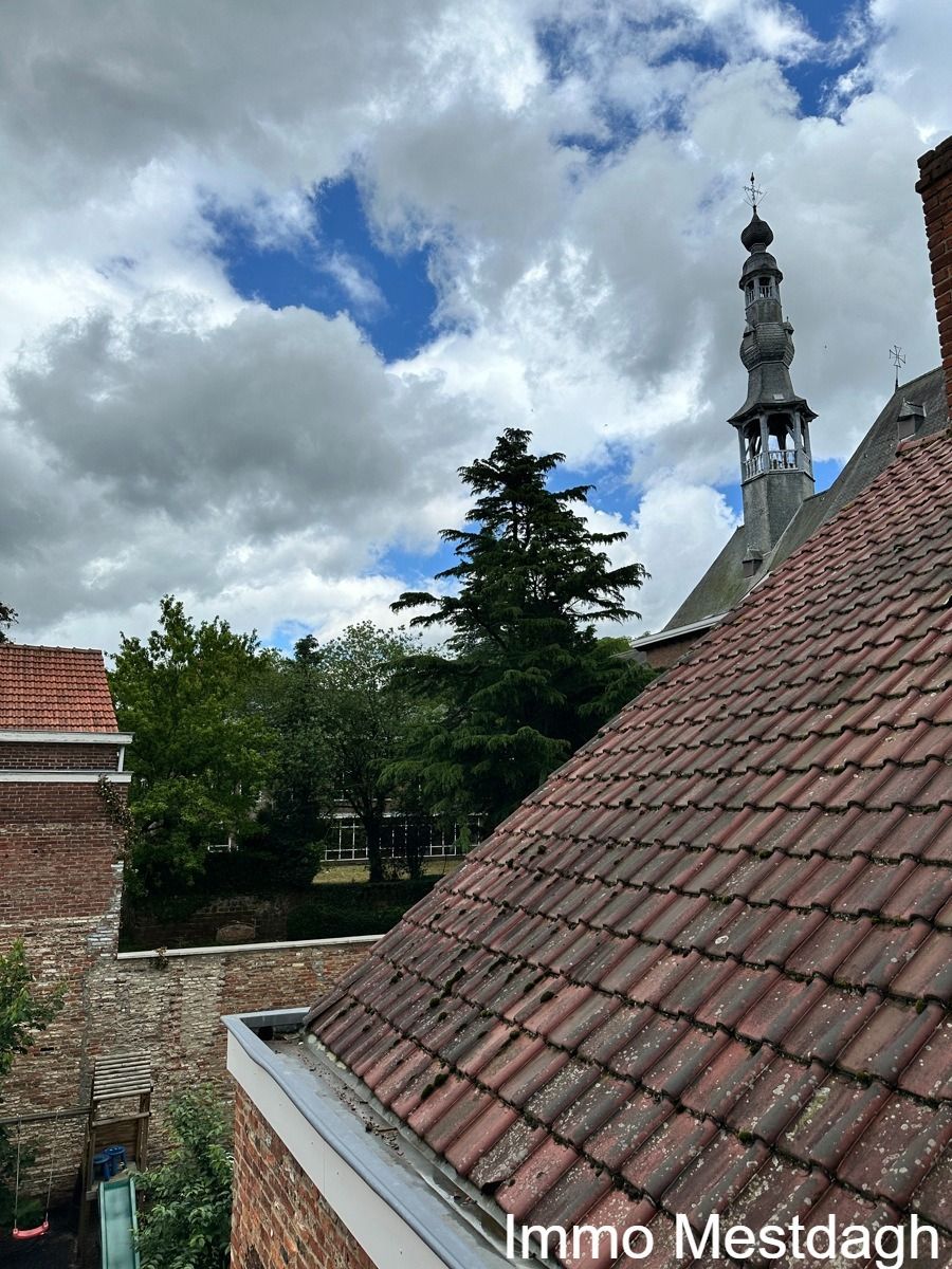 Gezellige stadswoning in hartje Diest foto 22