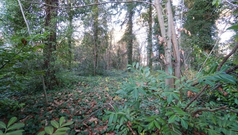 Mooie bouwgrond van 30 are voor villa of duo-wonen foto 6