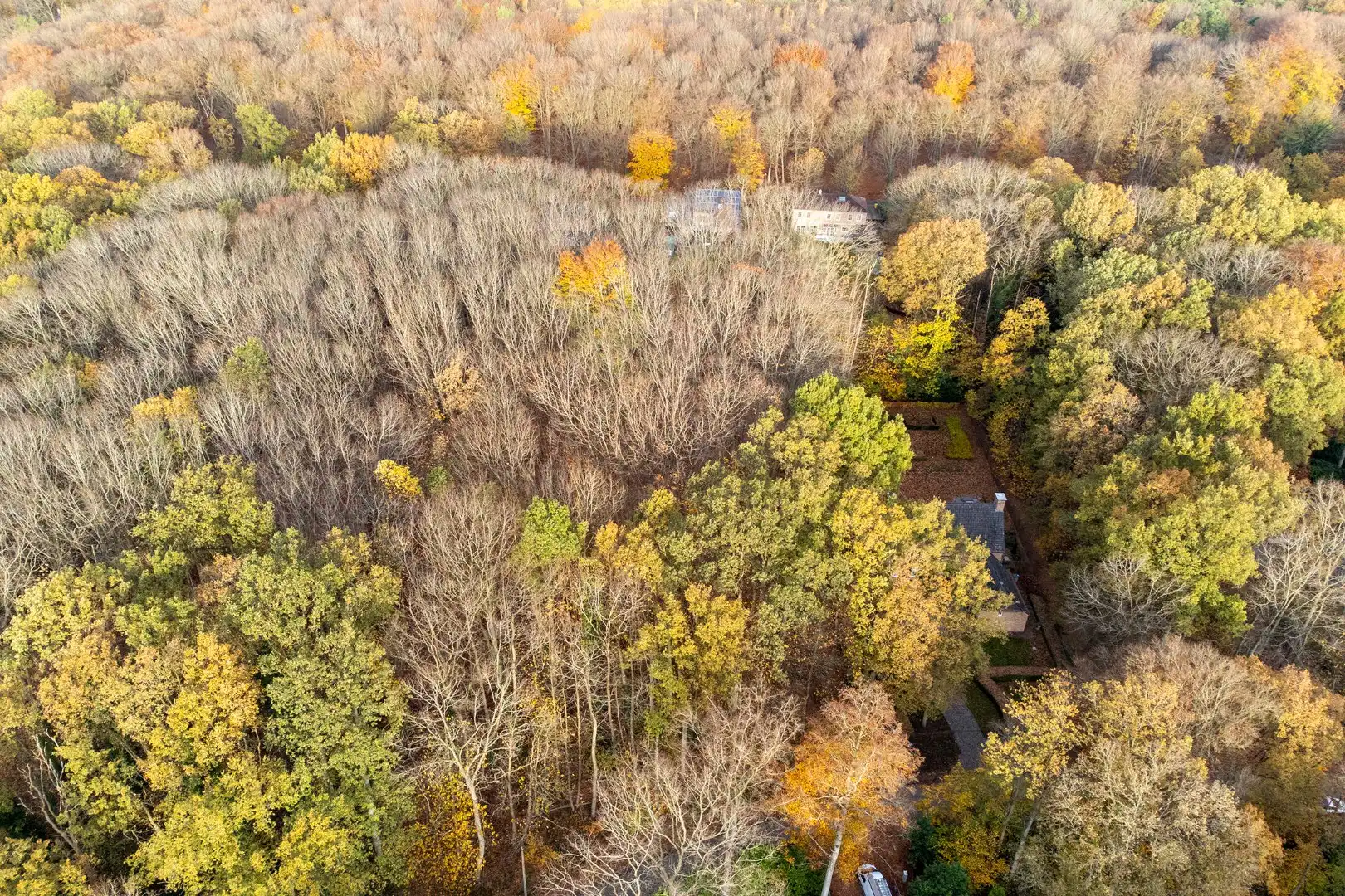 Prachtige bouwgrond van 22a 63ca te koop op een toplocatie in Hoog-Linden!  foto 4