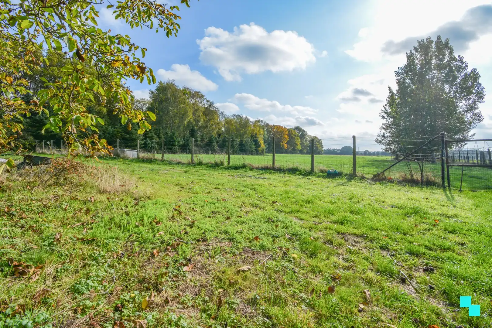 Aantrekkelijke, te renoveren woning op 11.575 m² te Roeselare foto 23