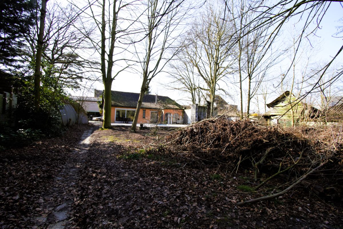 Woonst met toonzaal/opslagplaats en garages – ideaal voor zelfstandigen! foto 9