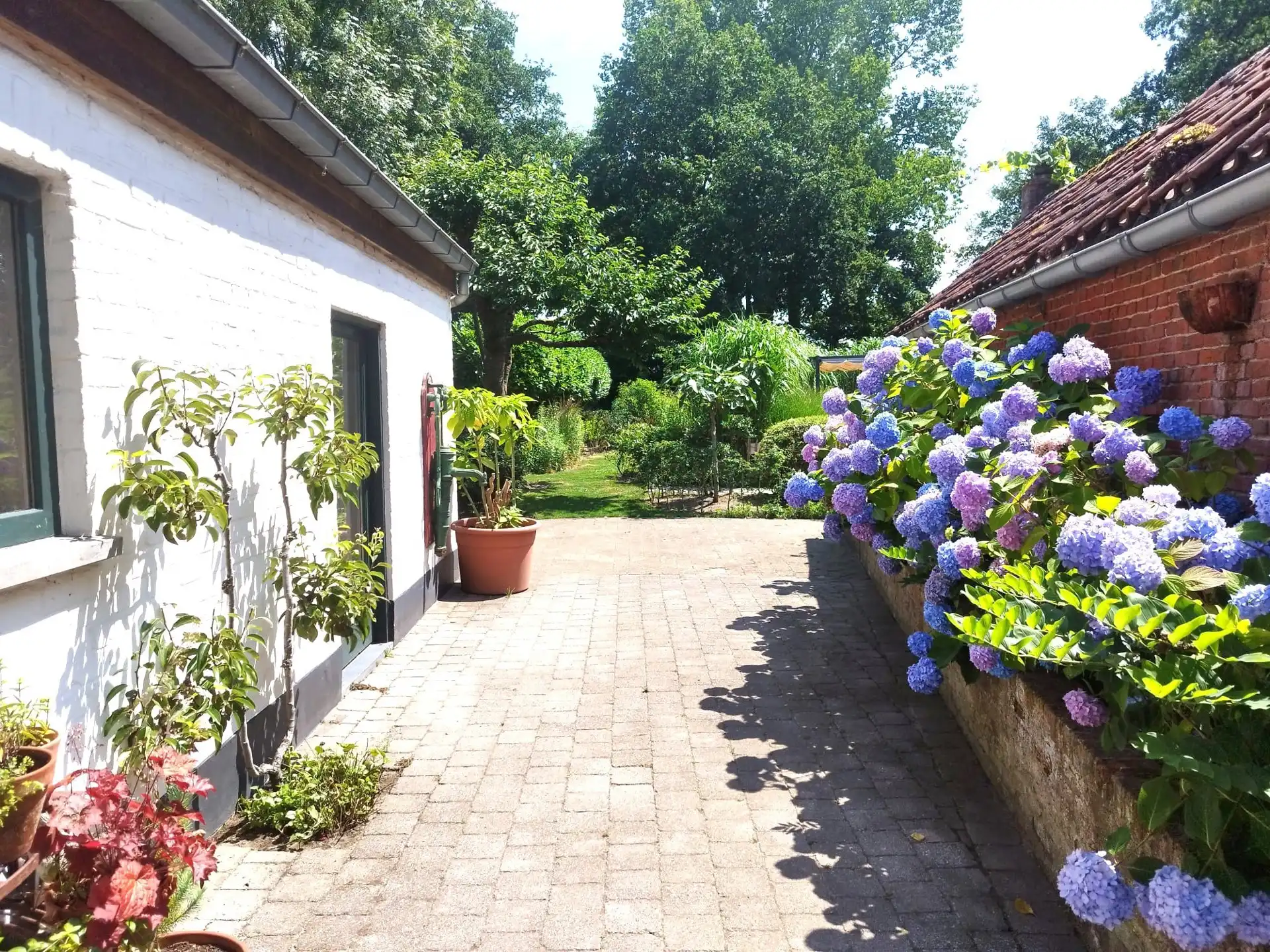 Langgevelhoeve met grote schuur, bakhuis en verwarmd zwembad foto 4