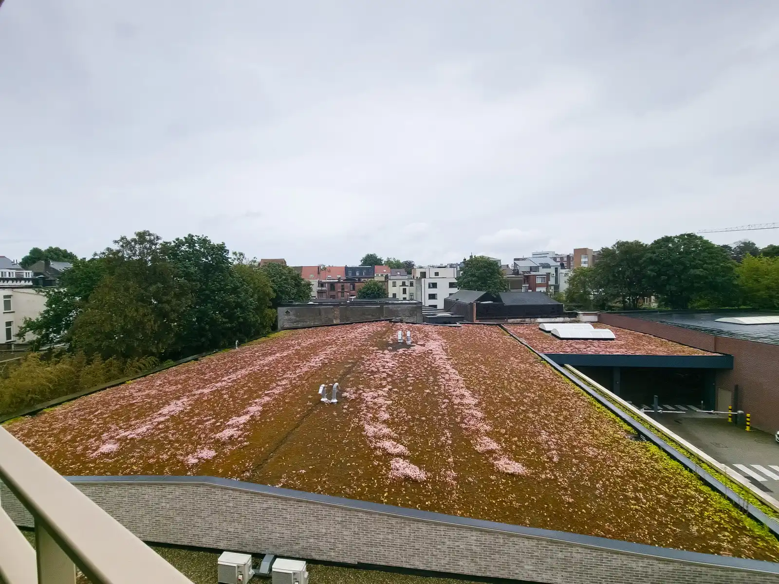 2-slpk gemeubeld app. in het Zuid van Antwerpen Centrum foto 7