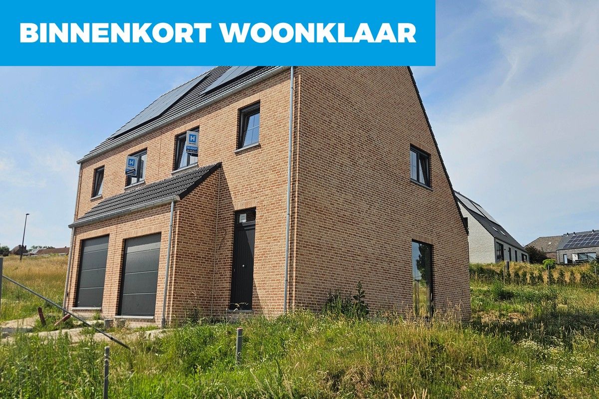 ()=>{if(producerUpdateValueVersion(node),producerAccessed(node),node.value===ERRORED)throw node.error;return node.value} Stekelbees 1 - 1760 Roosdaal