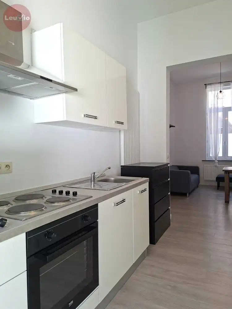 Instapklaar 1-slaapkamerappartement met tuin in het stadscentrum foto 7