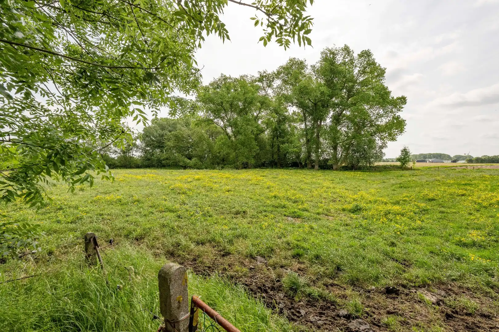 PRACHTIG GELEGEN HOEVE | RUSTIGE LIGGING | 1ha 47a foto 7