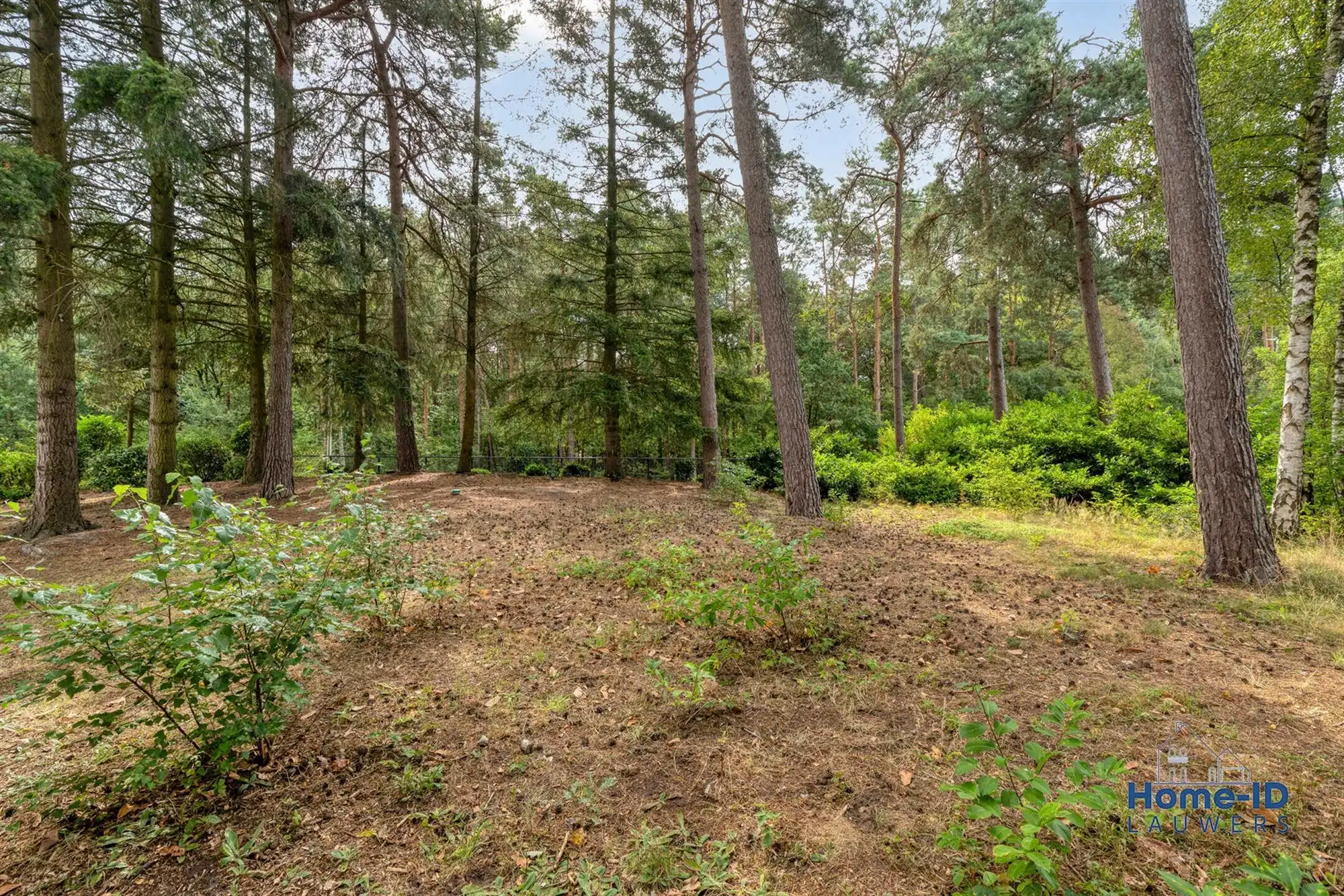 Exclusief wonen in alle rust op bijna 3.000 m² foto 60