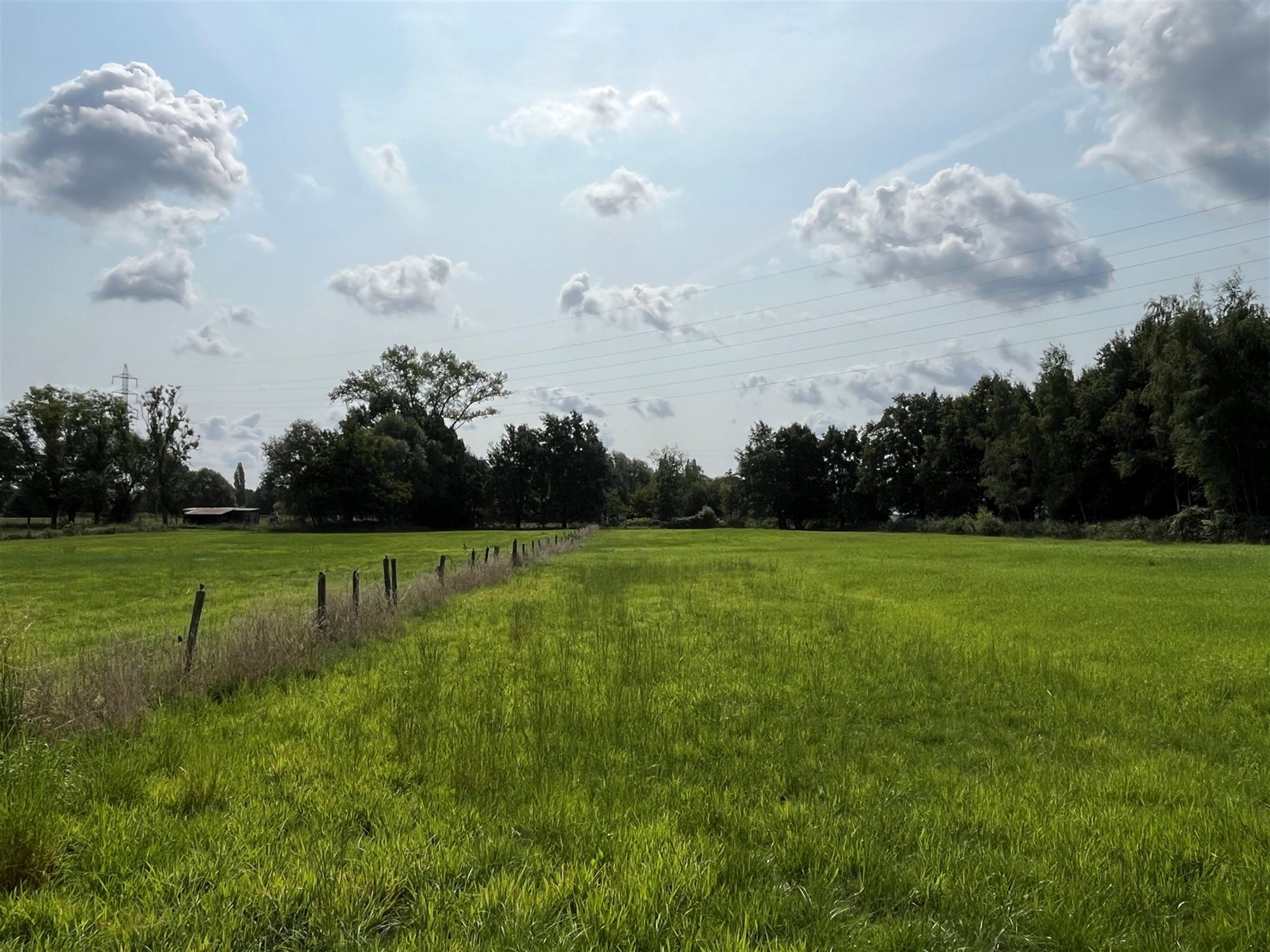 Boerderij met unieke ligging te Putte  foto 13