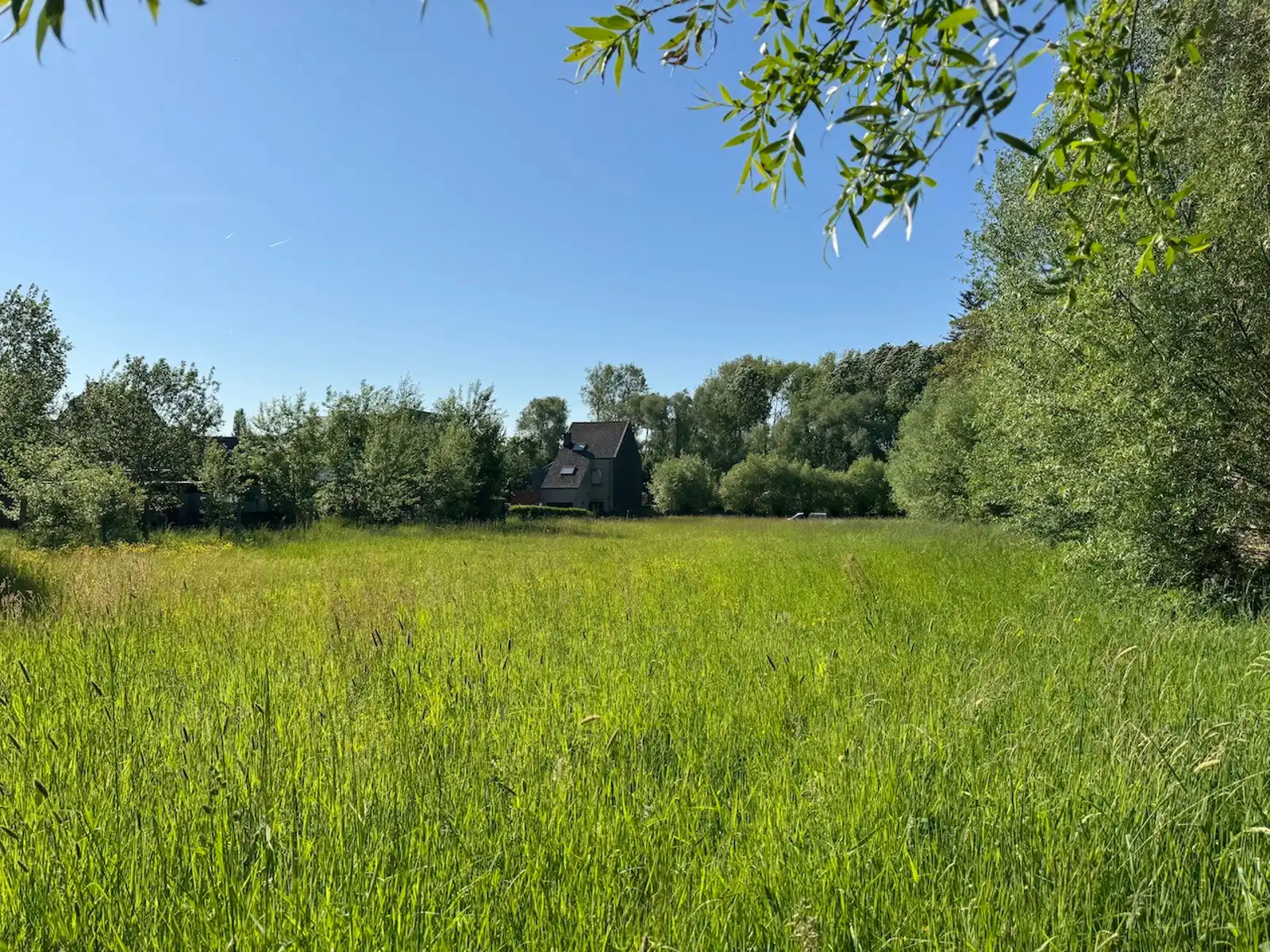 Grond te koop foto 5