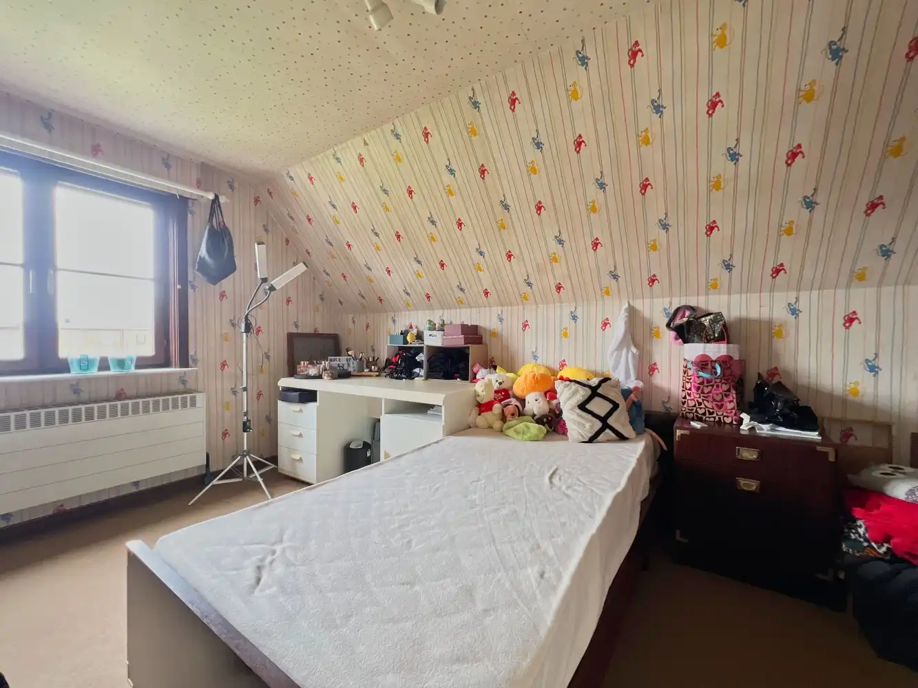 Karaktervolle, alleenstaande woning met zonnige tuin foto 6