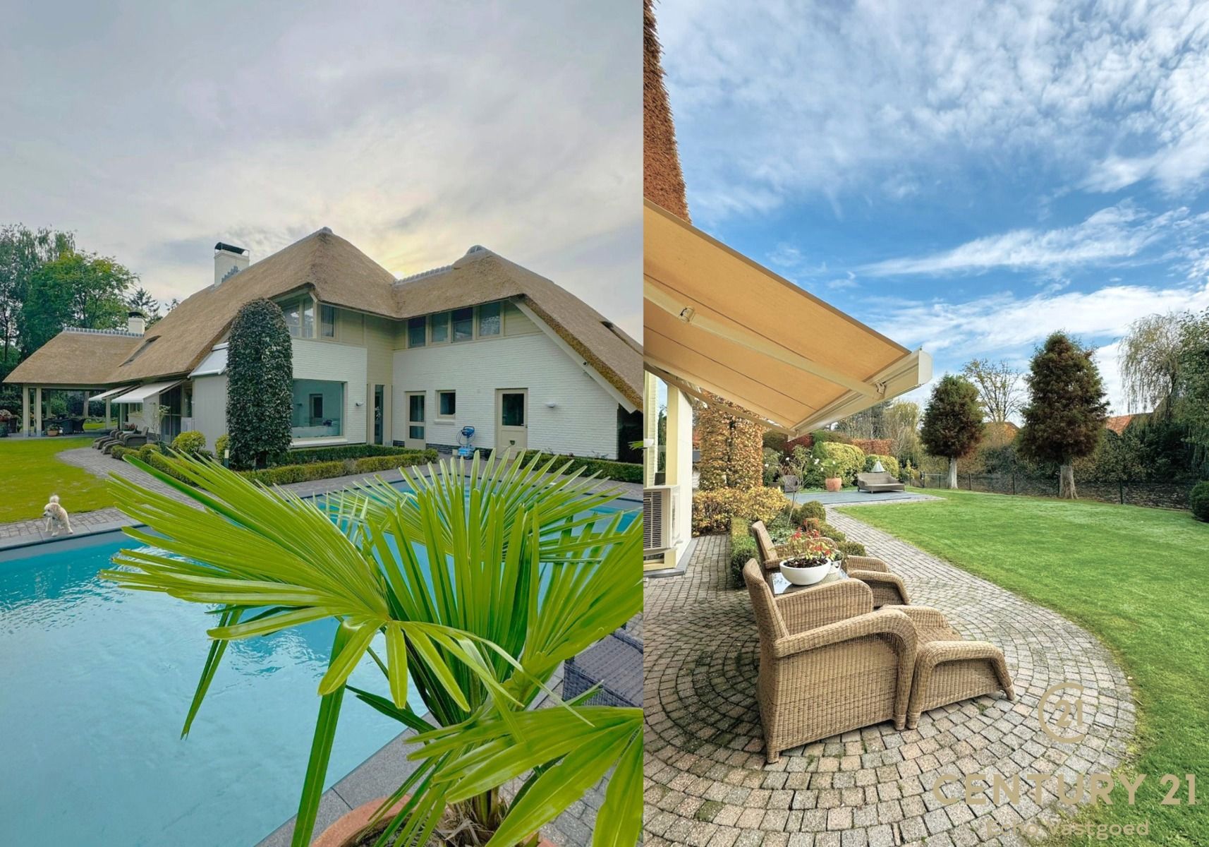 Ruime, charmante villa op royaal perceel met zwembad foto 9