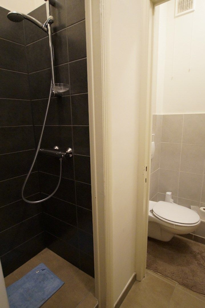 Gerenoveerd gelijkvloers appartement met 2 slaapkamers. foto 5
