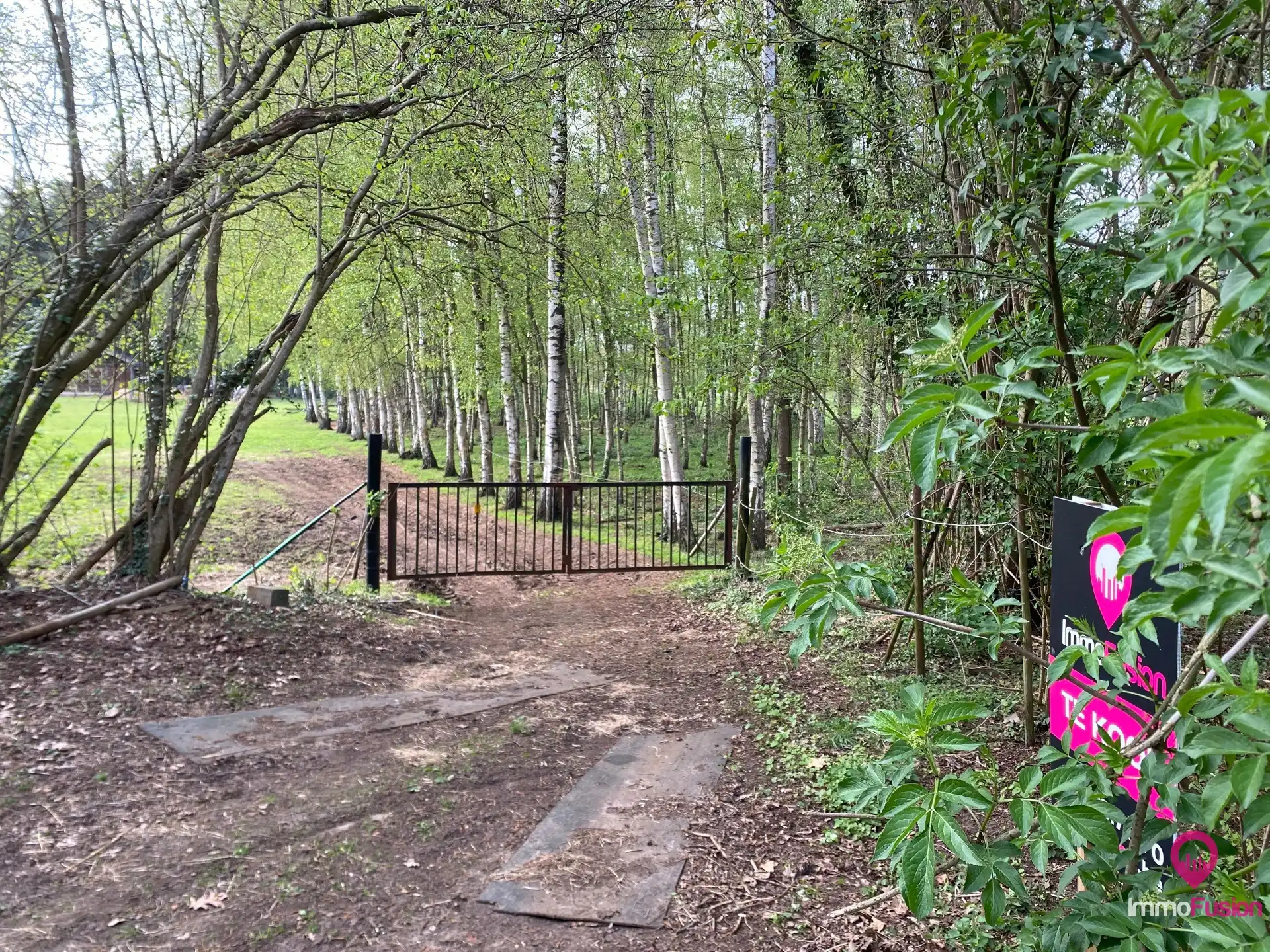 Landelijke weide voor dieren- en natuurliefhebbers! foto 10
