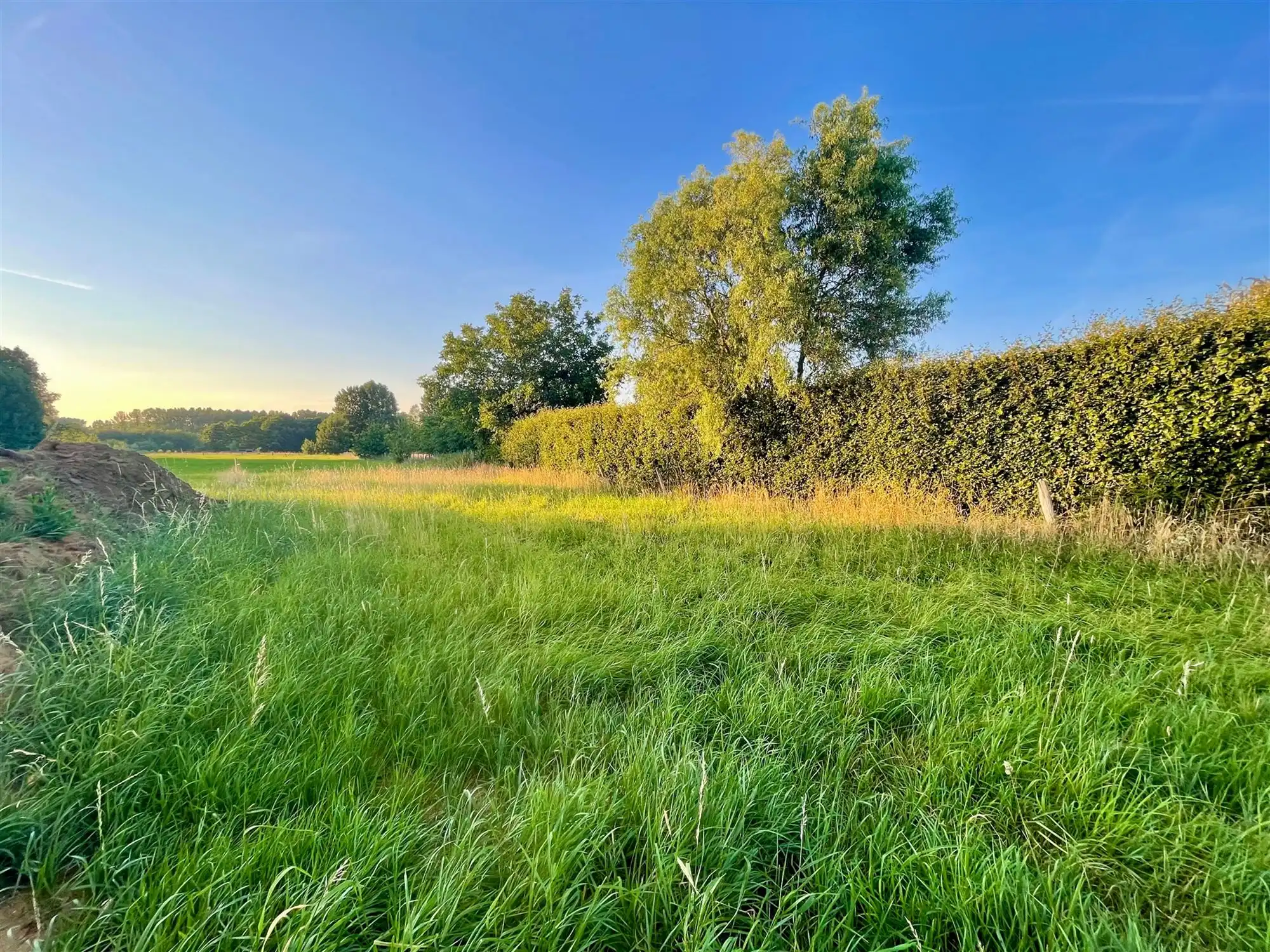 Bouwen aan uw toekomst te Tielt-Winge foto 3