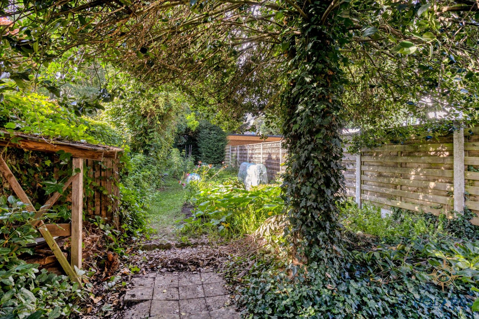 Goed gelegen, te renoveren rijwoning in centrum Hoegaarden foto 25