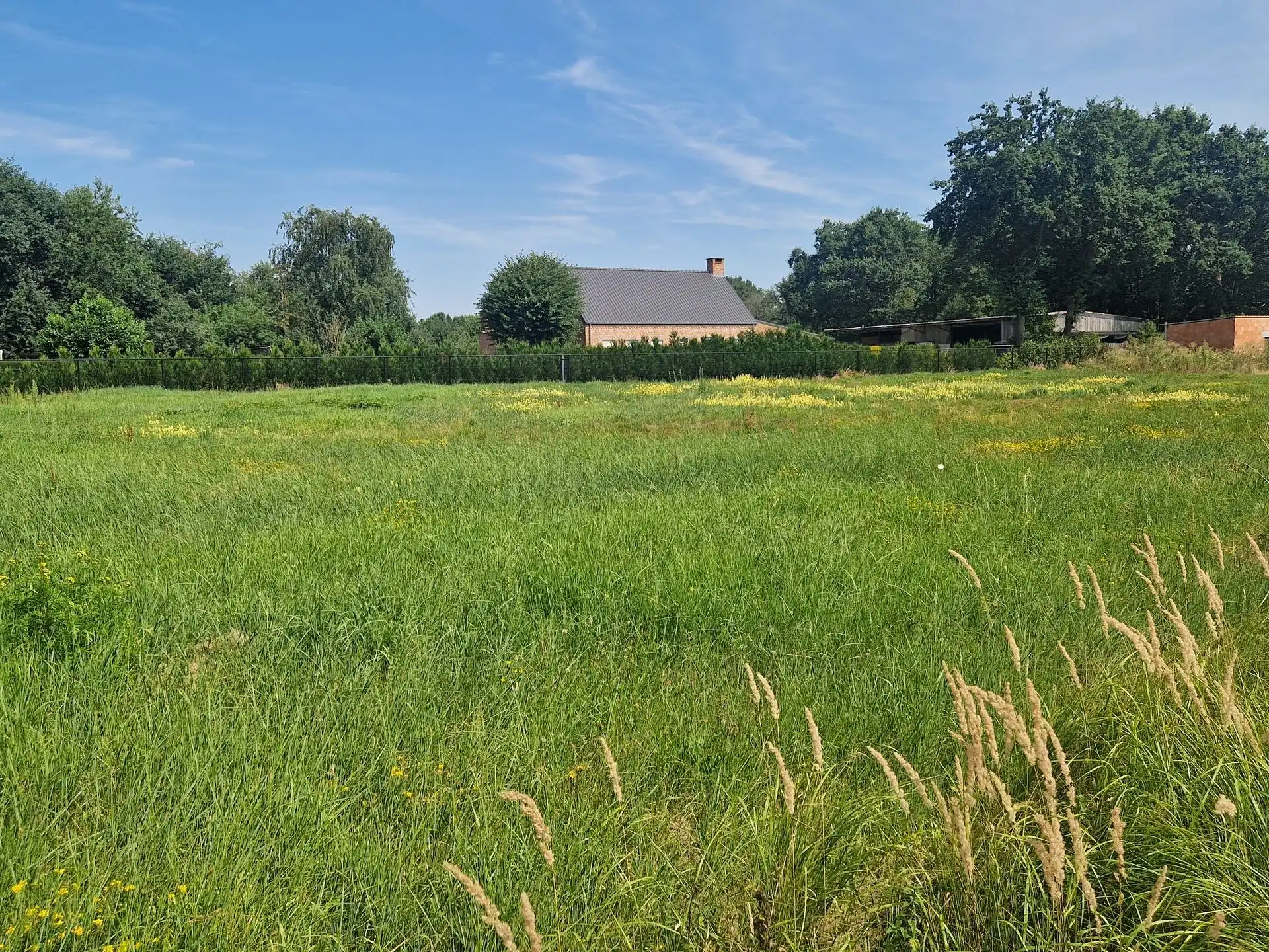 Mooie bouwgrond voor open bebouwing op 1035m² gelegen te Schriek foto 3