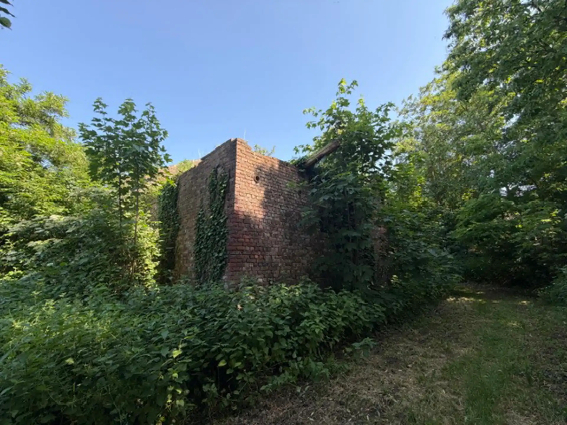 Te renoveren woning op ruim perceel foto 3