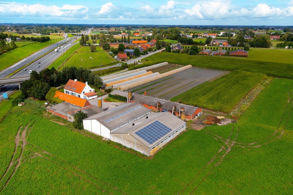 Hoofdfoto van de publicatie: Hoeve op 7 ha te koop te Ardooie