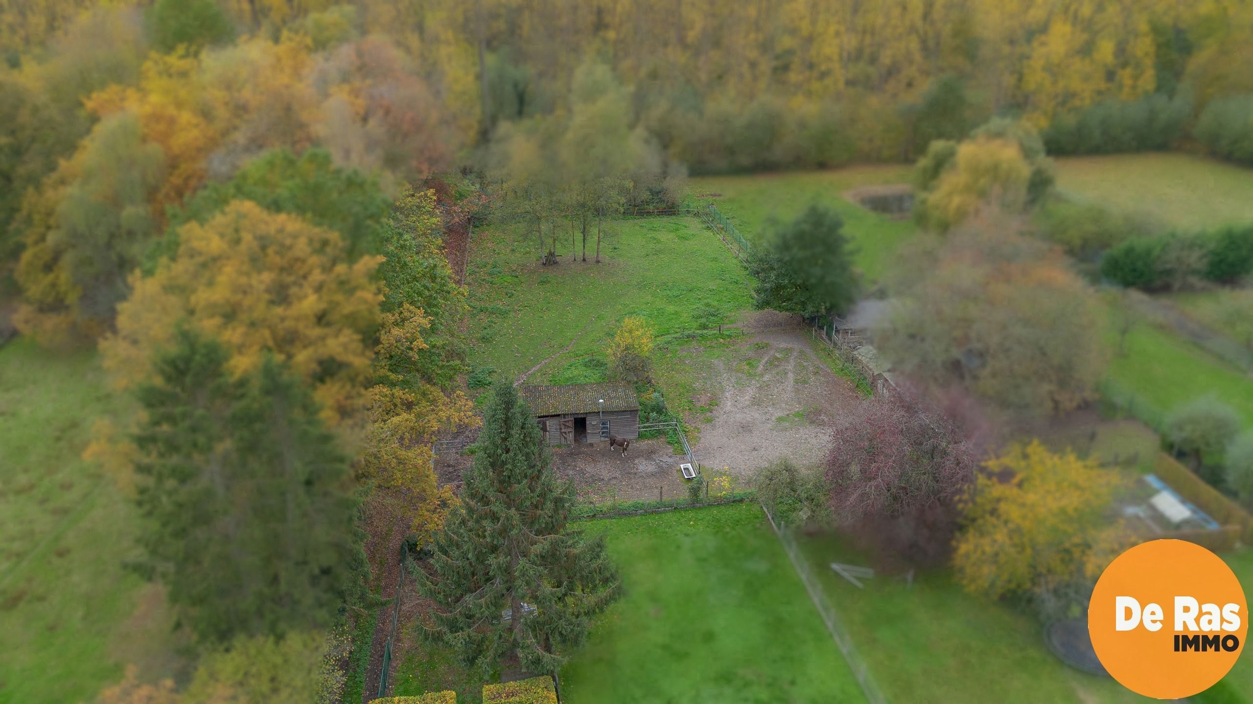 EREMBODEGEM- Ruime gezinswoning met tuin en weide  foto 39