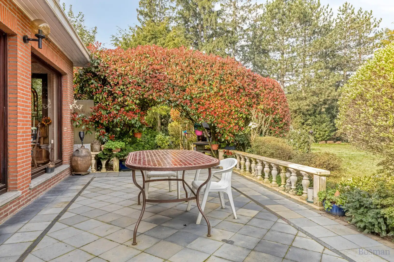 Projectgrond met woning te koop in Schoot, Tessenderlo foto 6