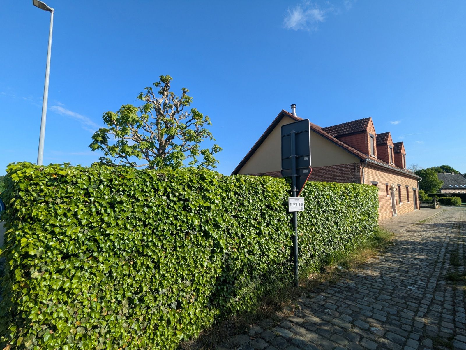 Ruime hoeve met mooie tuin + veel parking in rustig straatje foto 2