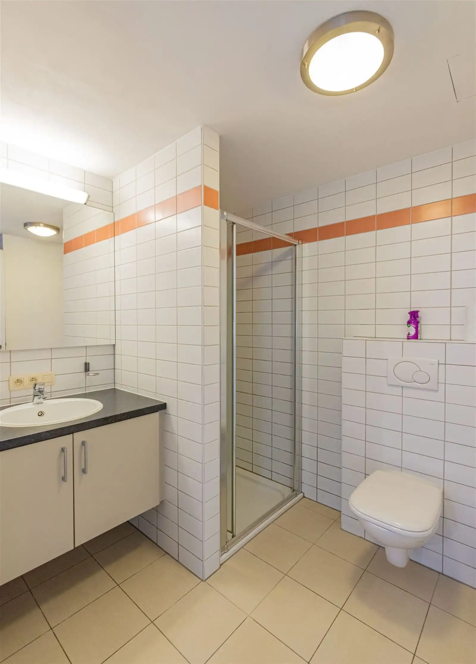 Appartement met 1 slaapkamer, parking en kelder foto 12