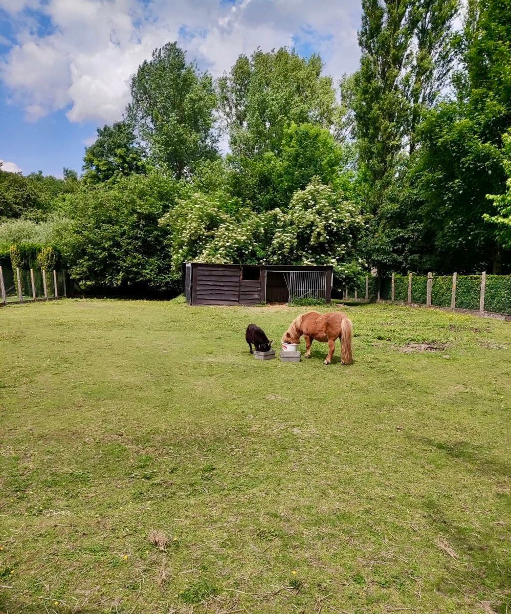 Zeer ruime woning met grote tuin en vrij zicht. foto 29