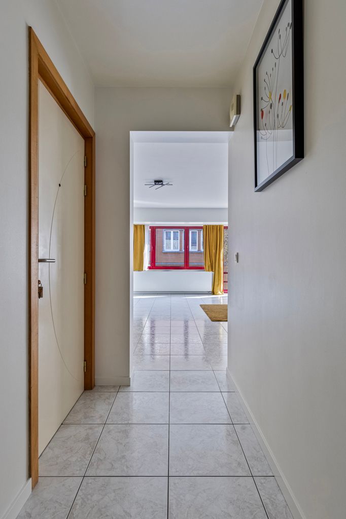 immo DAVID stelt voor: gerenoveerd 2 kamer appartement foto 3