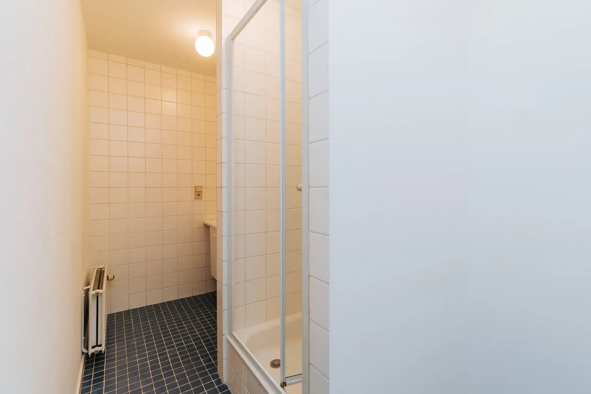 Commercieel pand met woonst en uitzonderlijk veel ruimte! foto 36