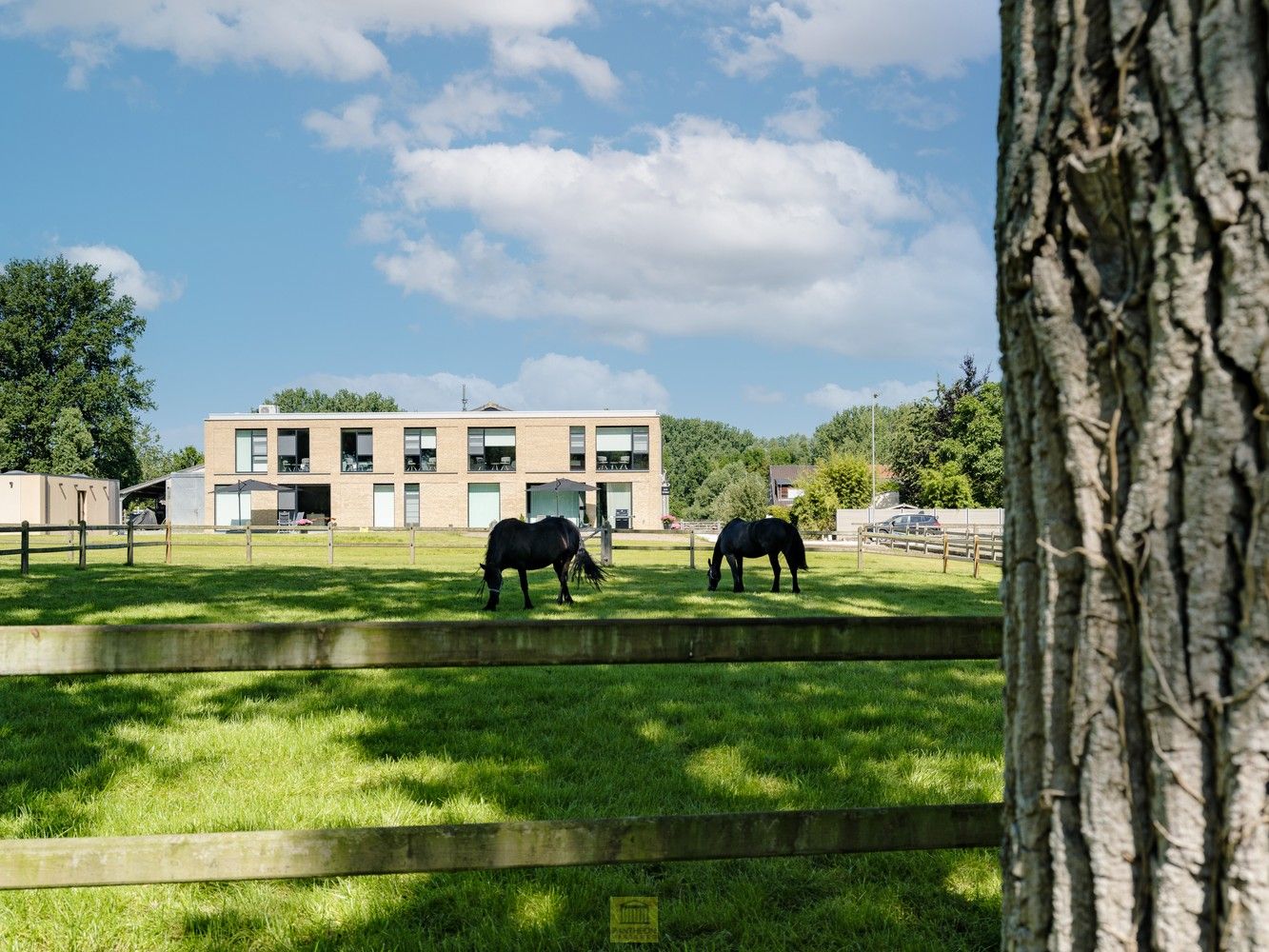 Uitzonderlijk pand - manege met gastenverblijf foto 3
