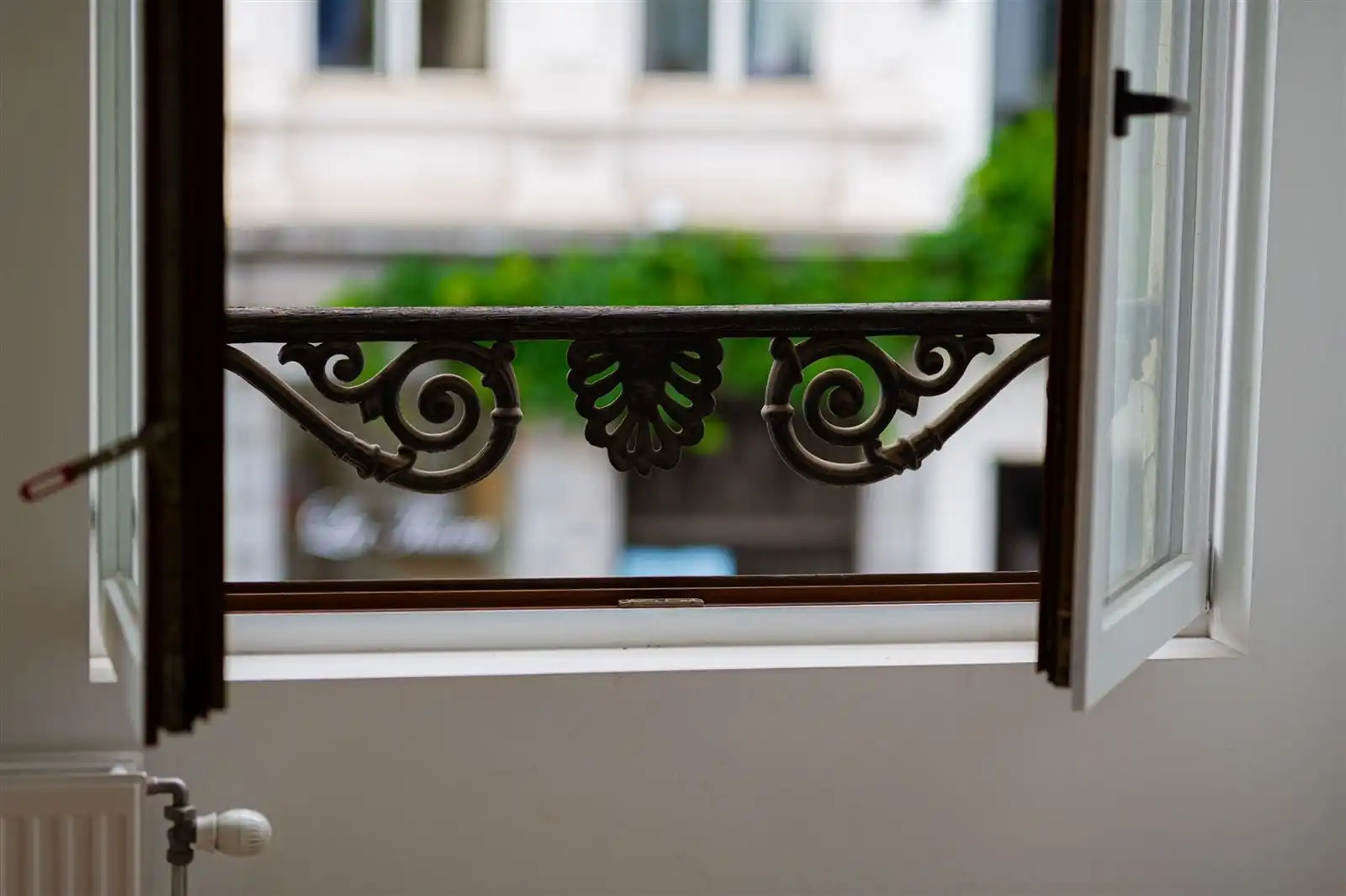 Opbrengstenwoning en handelsruimte foto 5