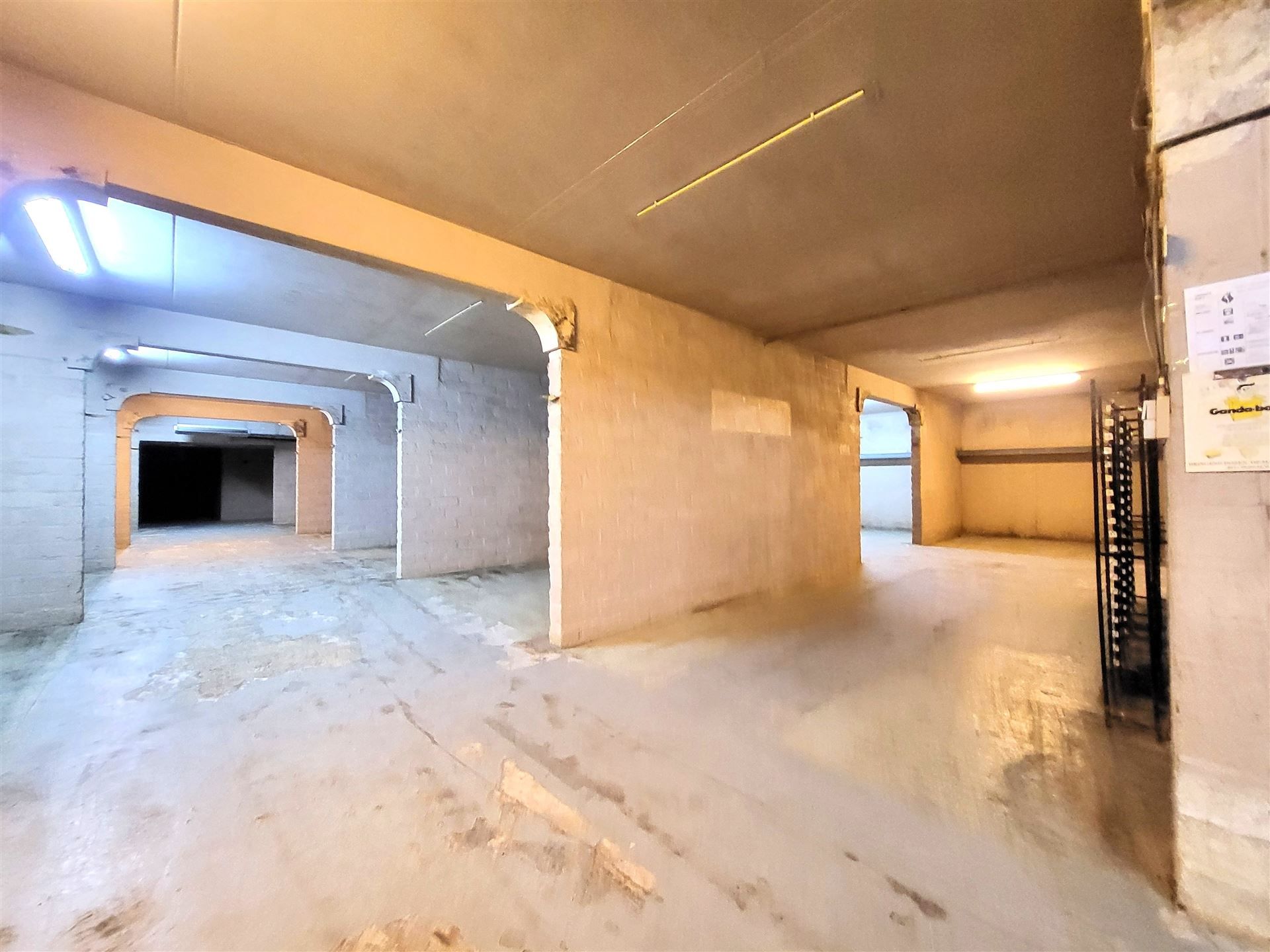 Villa met professionele opslagruimte, kelder en kantoorruimtes. foto 16