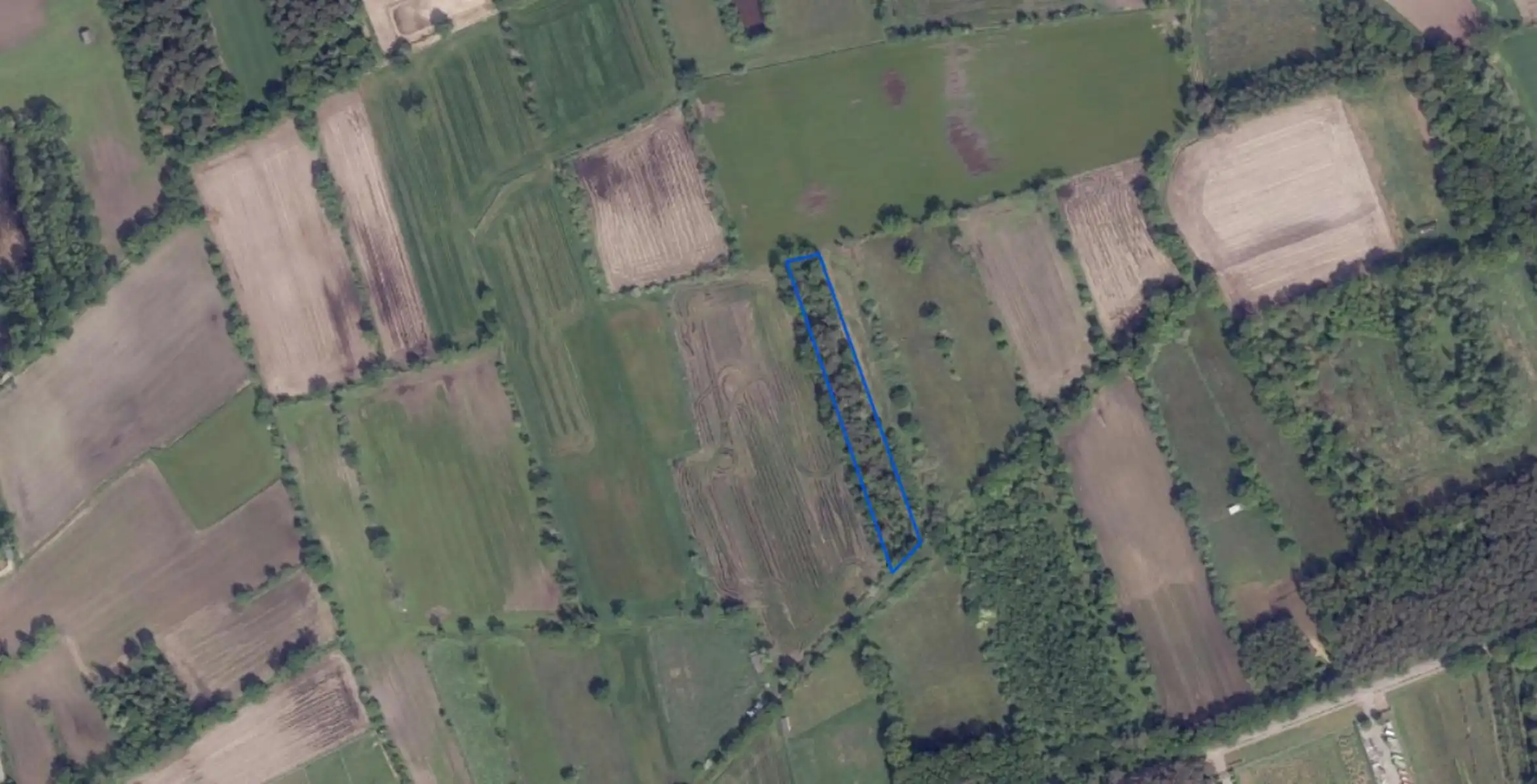 Perceel bosgrond gelegen te Balen-Hulsen foto {{pictureIndex}}