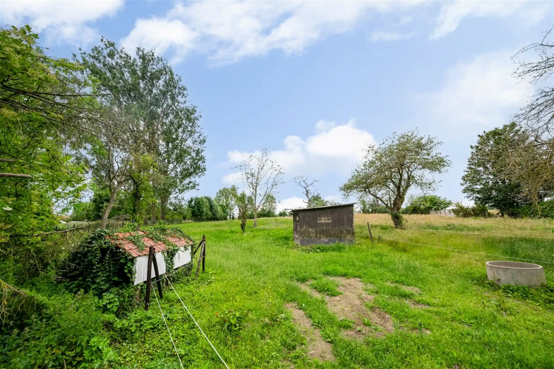 Landbouwgrond 6521m² in het landelijke Kerksken foto 6