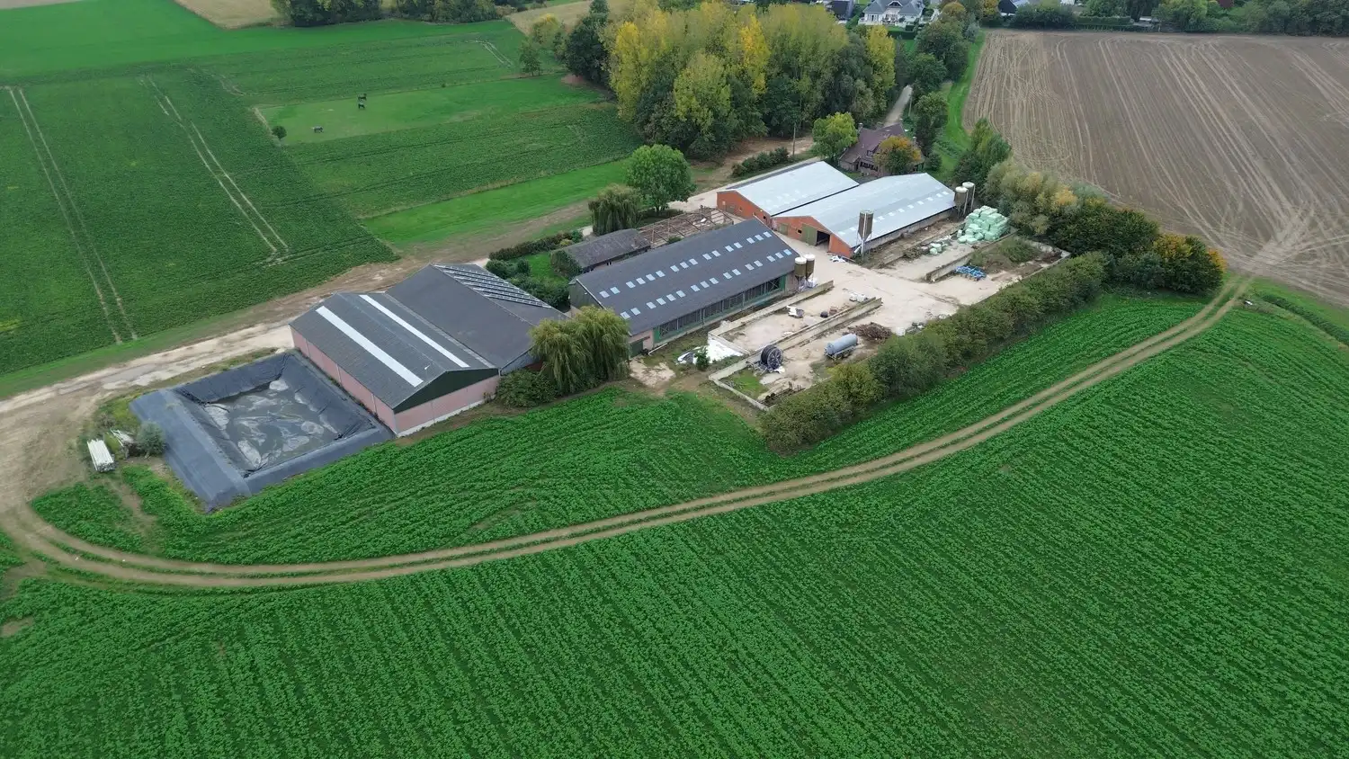 Prachtige boerderij op 1,4 hectare grond in Rekem/Lanaken foto 36