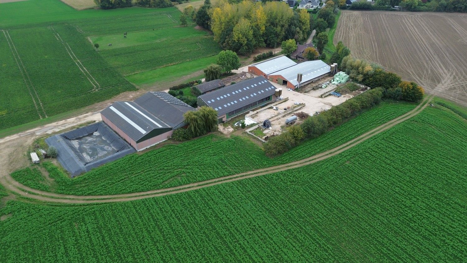 Prachtige boerderij op 1,4 hectare grond in Rekem/Lanaken foto 36