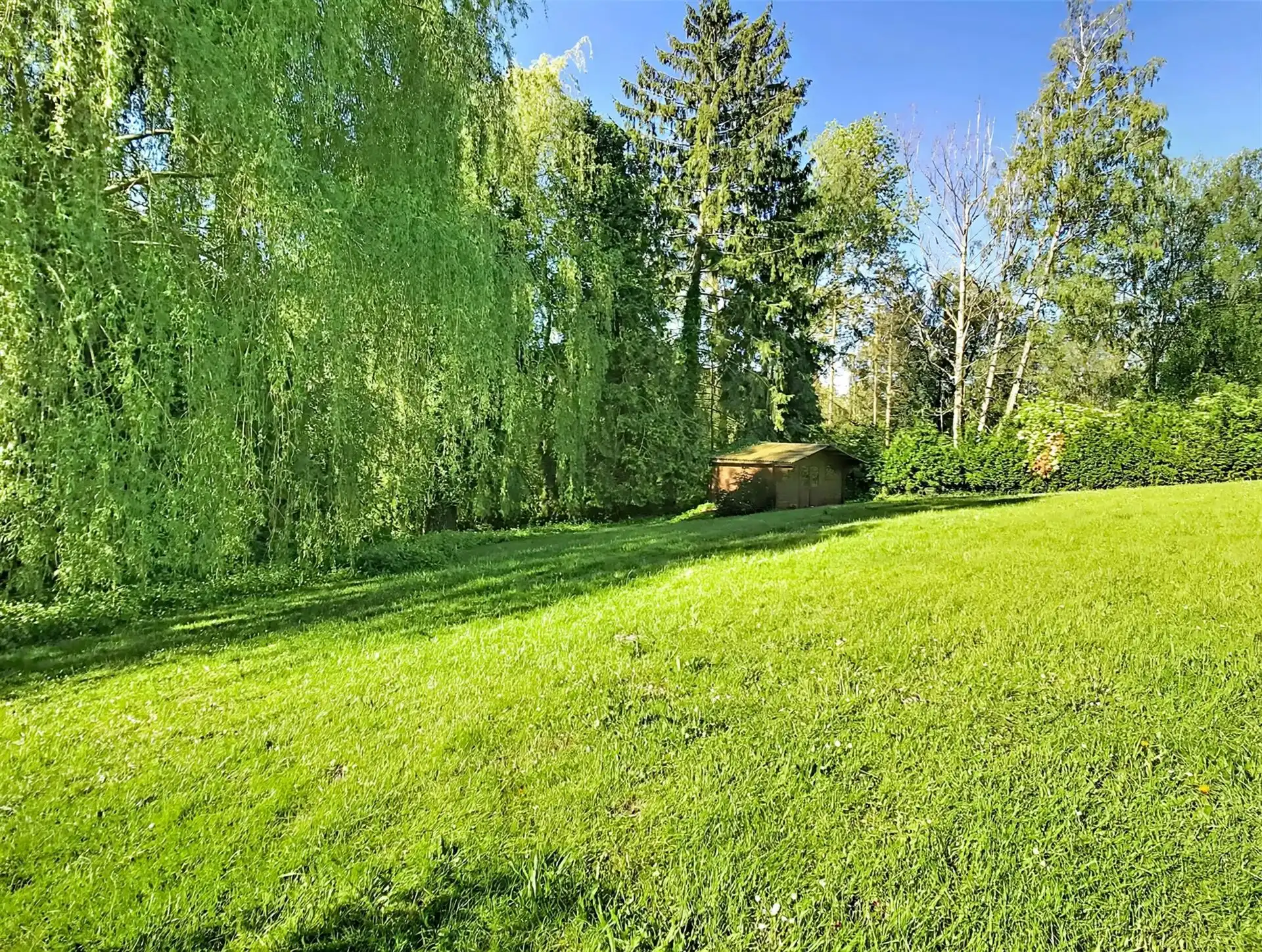 Villa met 3 slpk., bureau en groot perceel foto 11